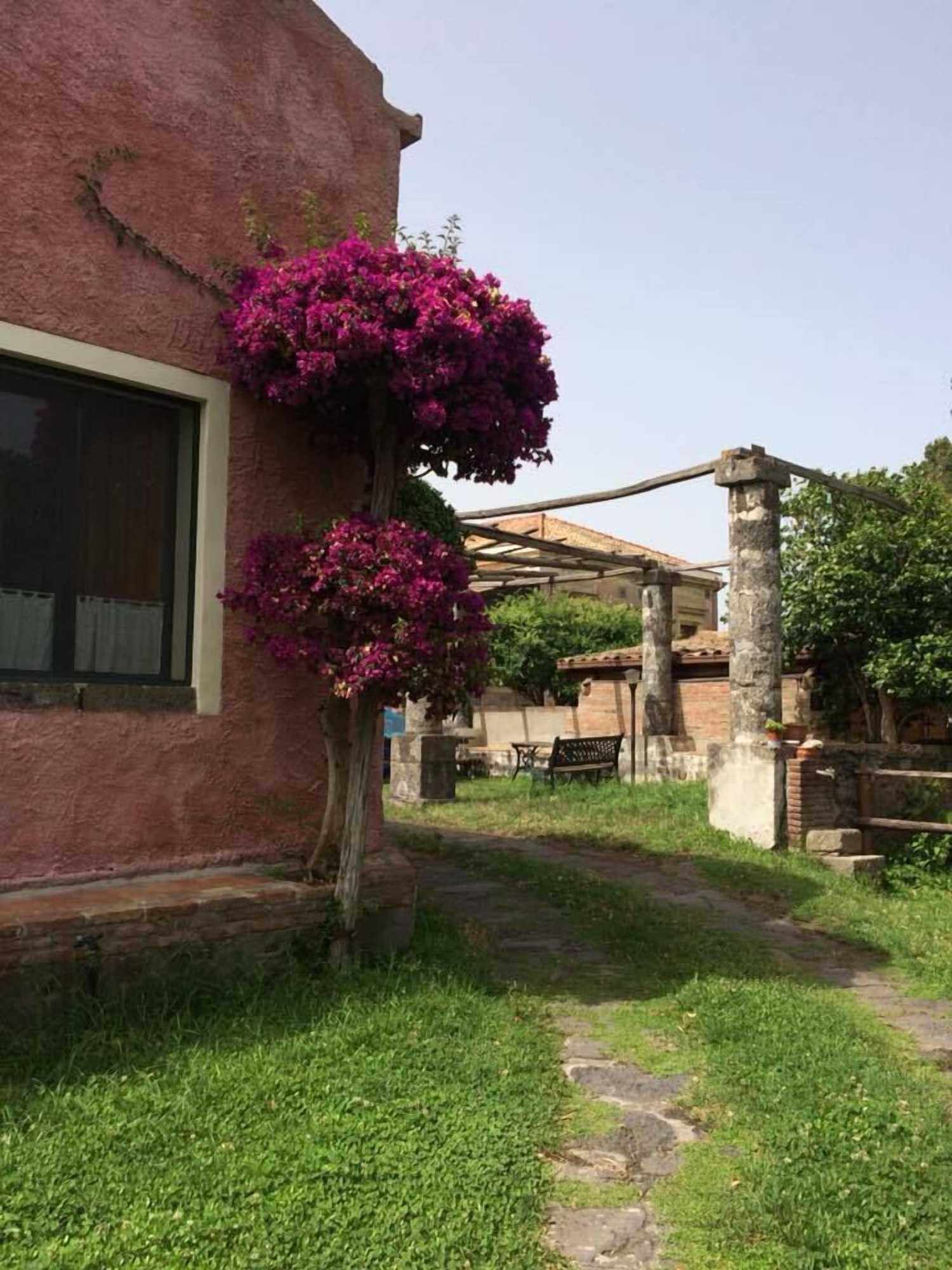 Gift card for Codavolpe Giardino di Tea Gift card for Codavolpe Giardino di Tea