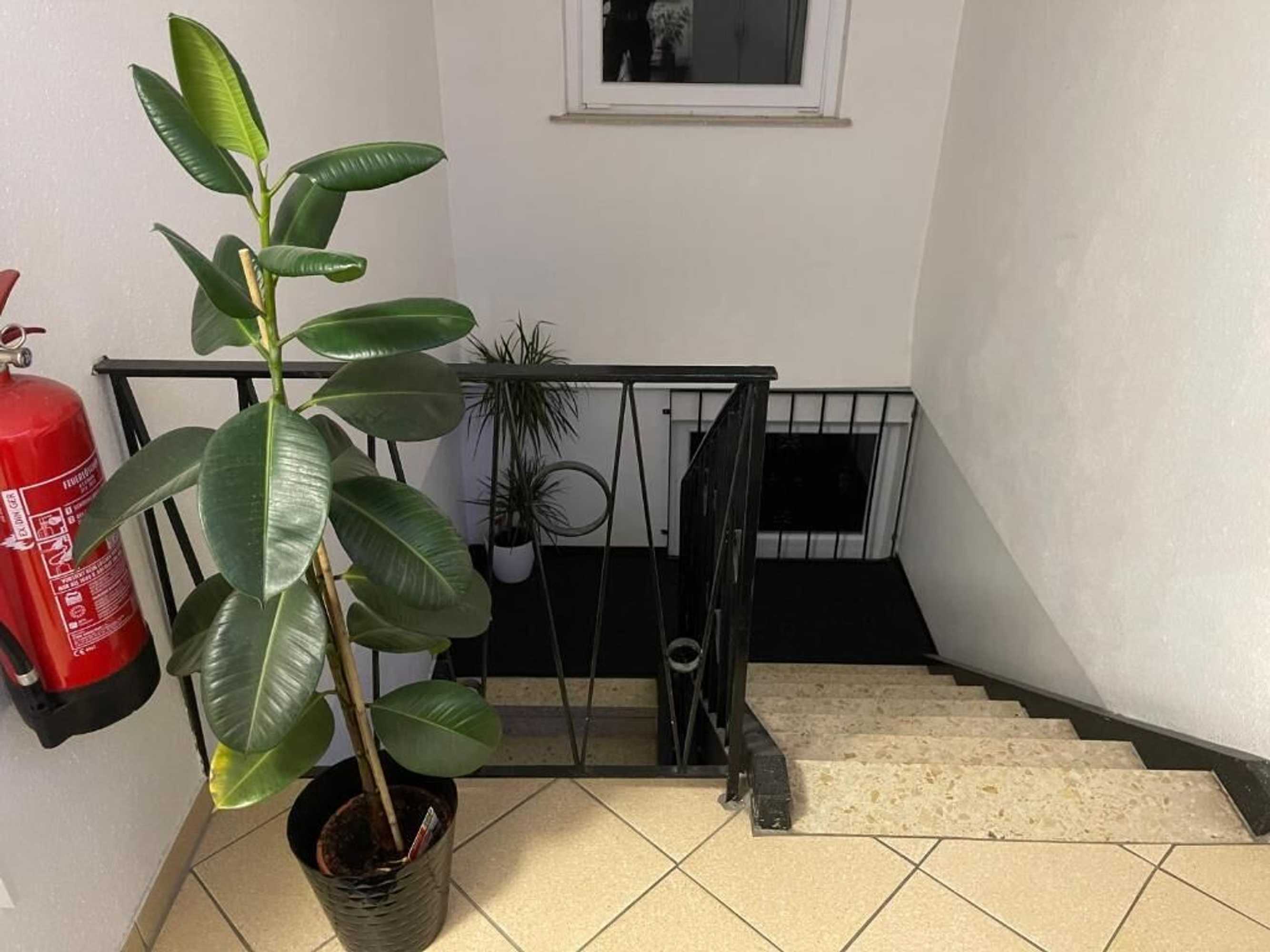 Gift card for Hotel Am Wildpark