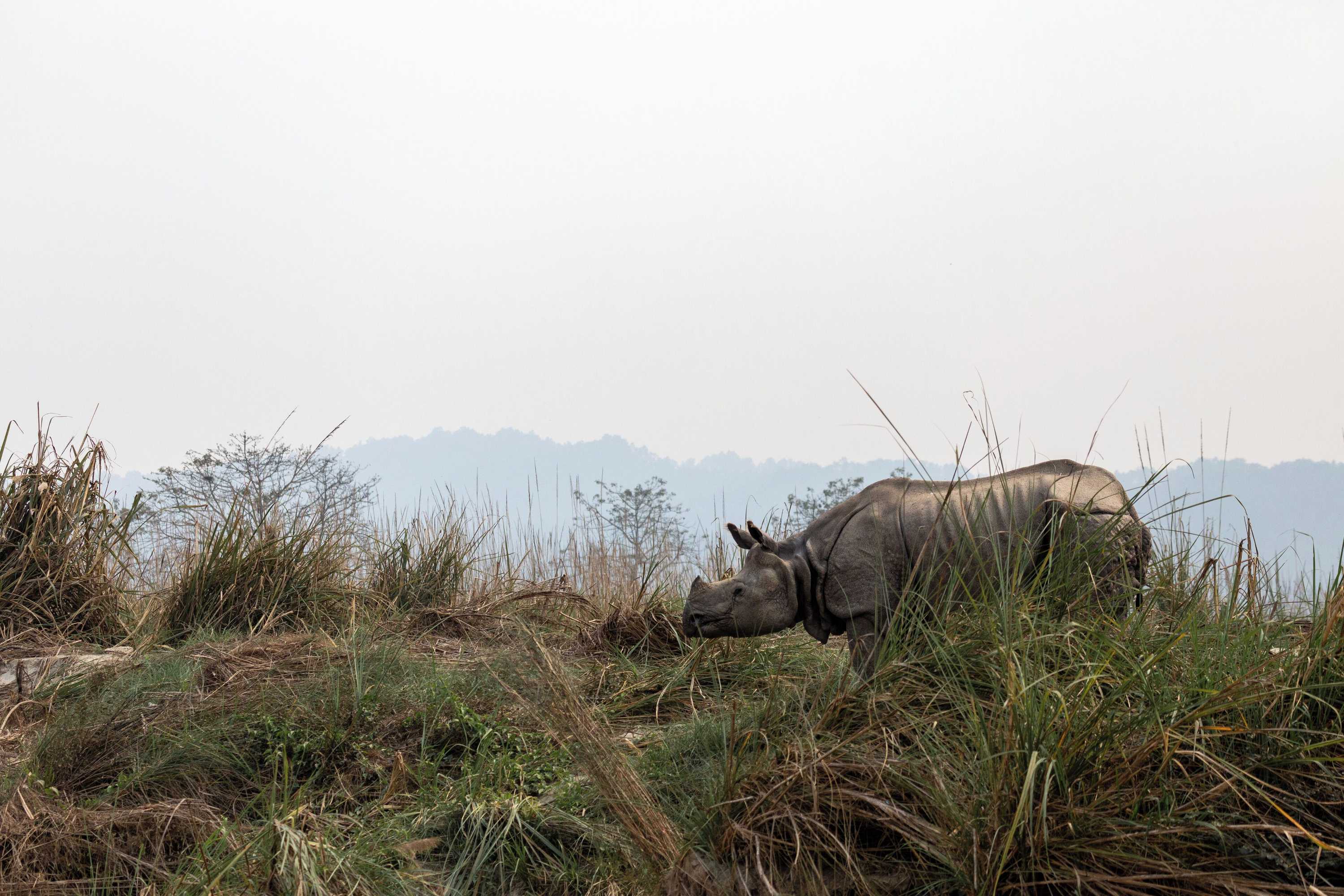 Gift card for Sanctuary - Chitwan National Park , Nepal Gift card for Sanctuary - Chitwan National Park , Nepal
