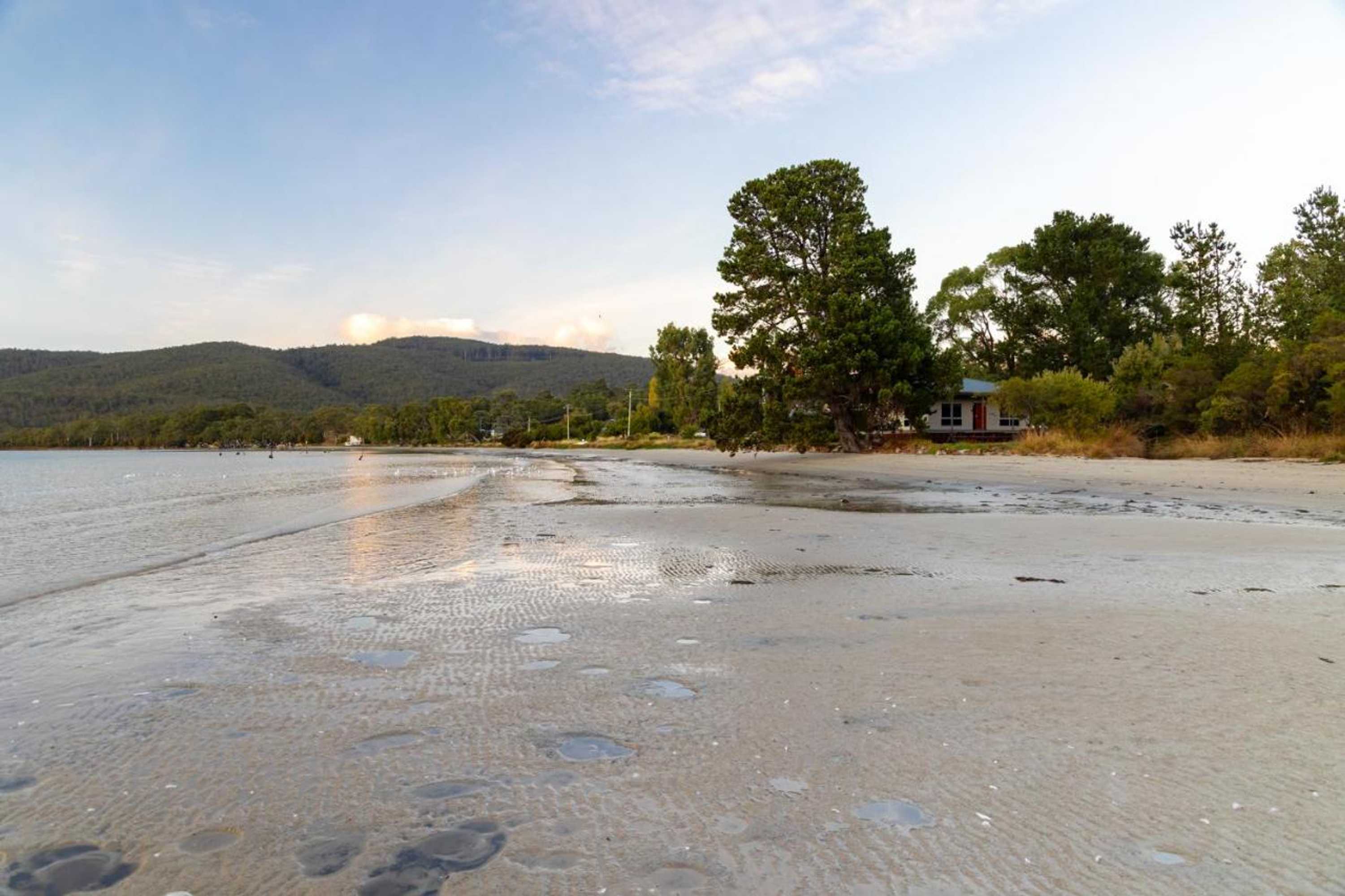 Gift card for Tides Reach - Essentially Tas Dover