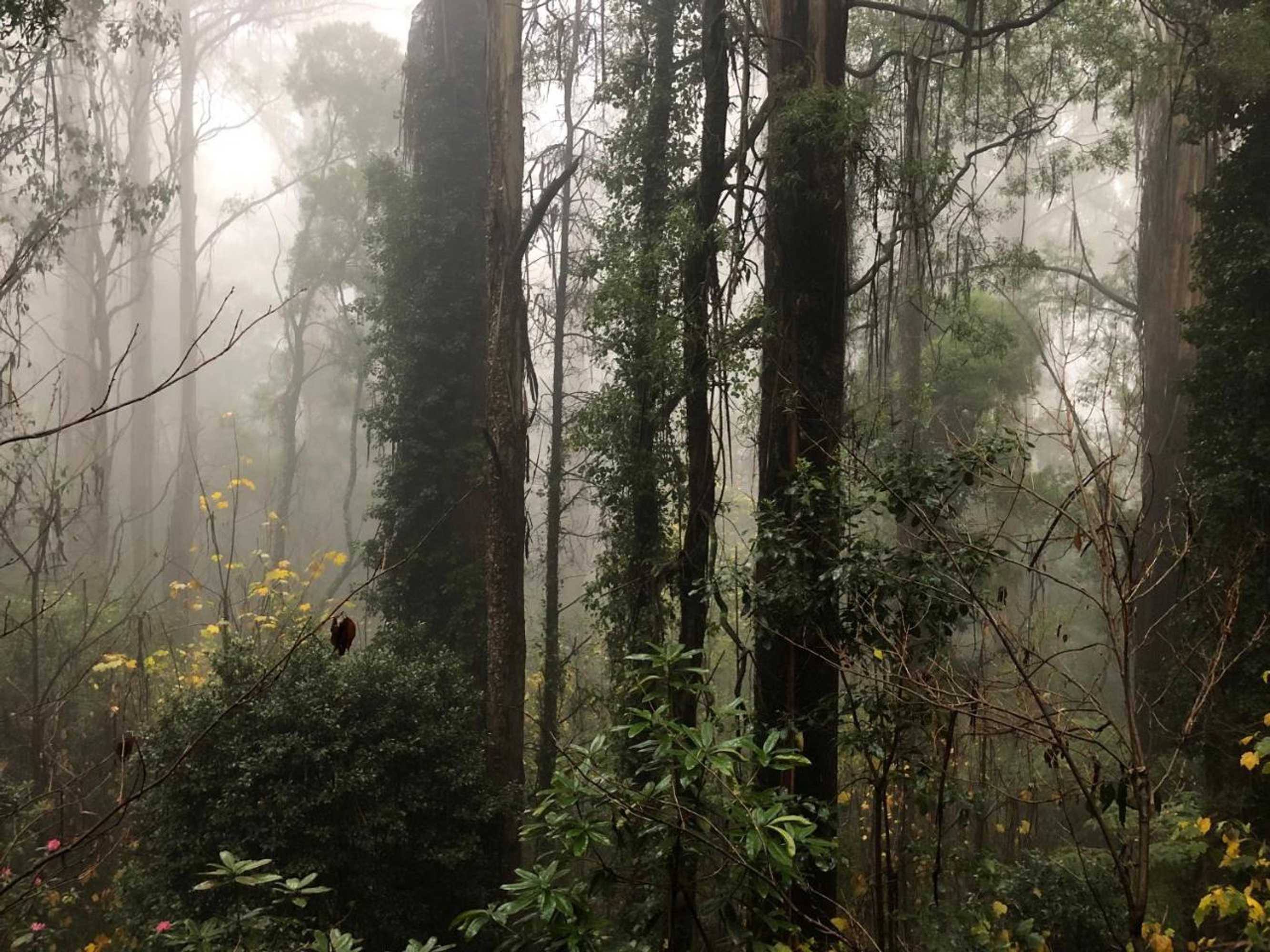 Gift card for Lochiel Luxury Accommodation