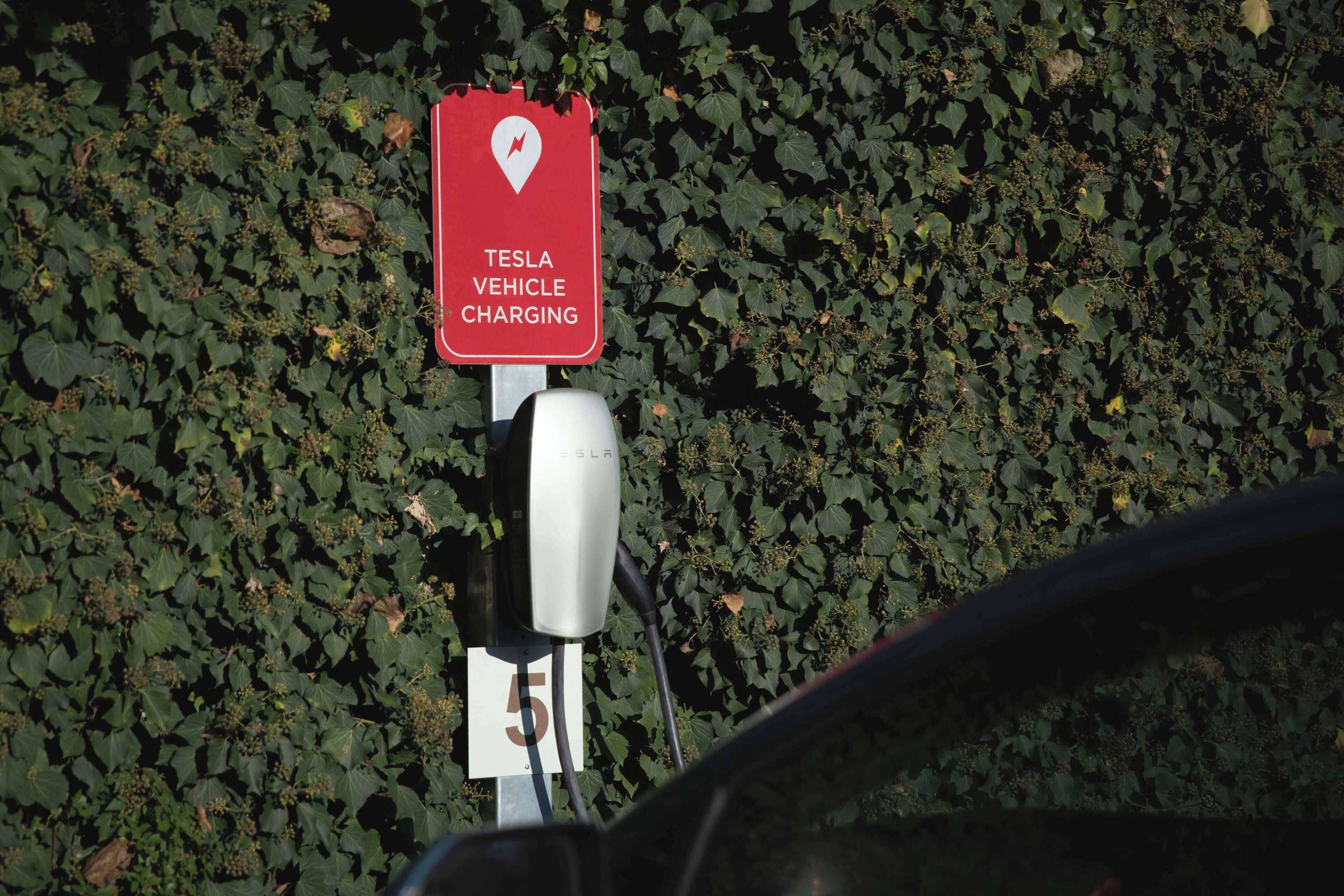 Gift card for Best Western Plus Park Hotel Pordenone Gift card for Best Western Plus Park Hotel Pordenone