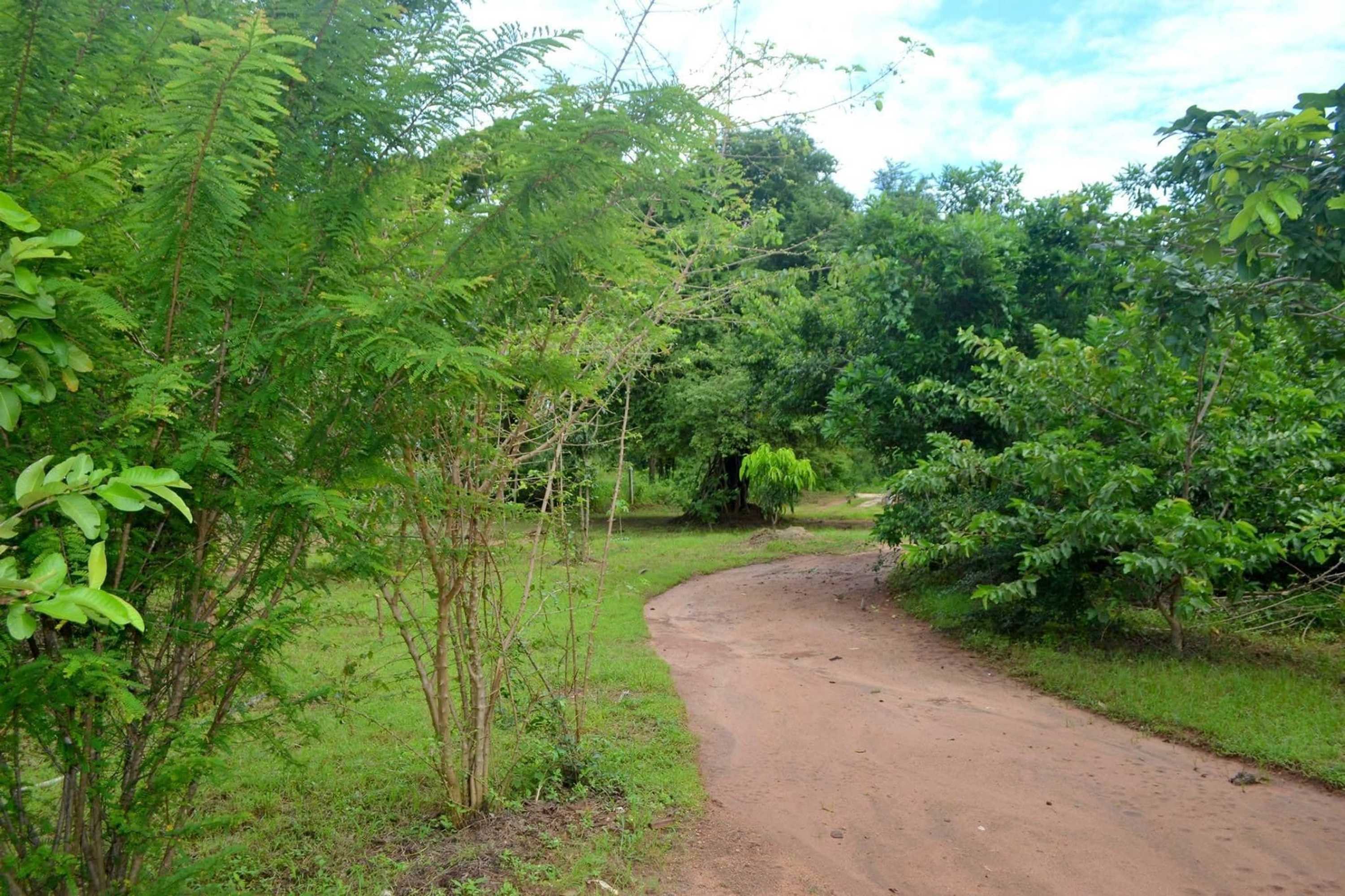 Gift card for Wilpattu Dilsara Holiday Resort