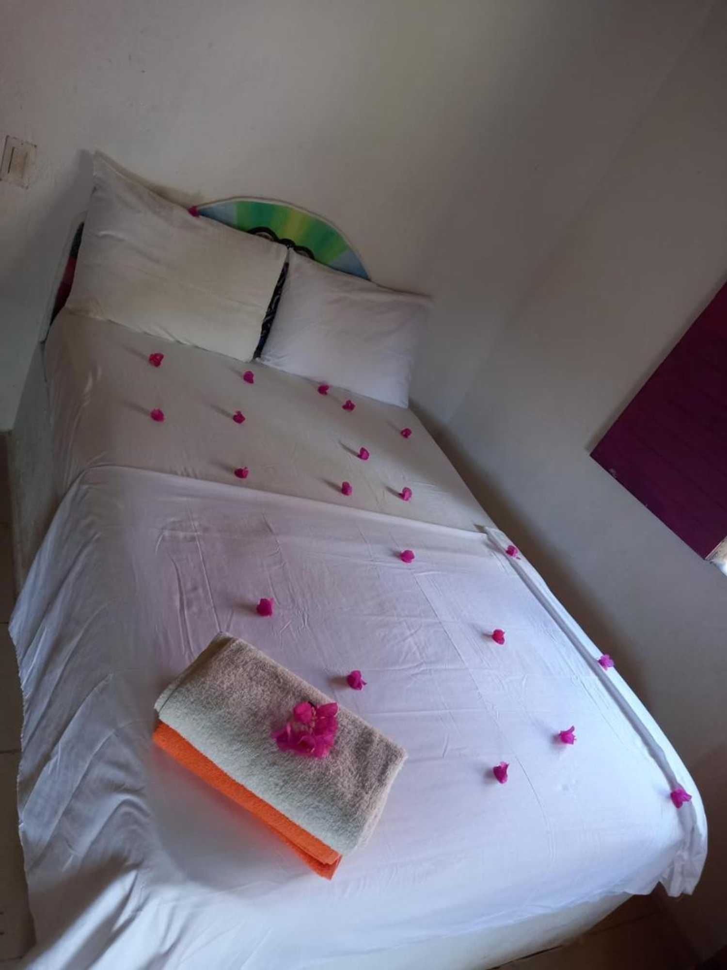 Gift card for Ecohouse Las Flores