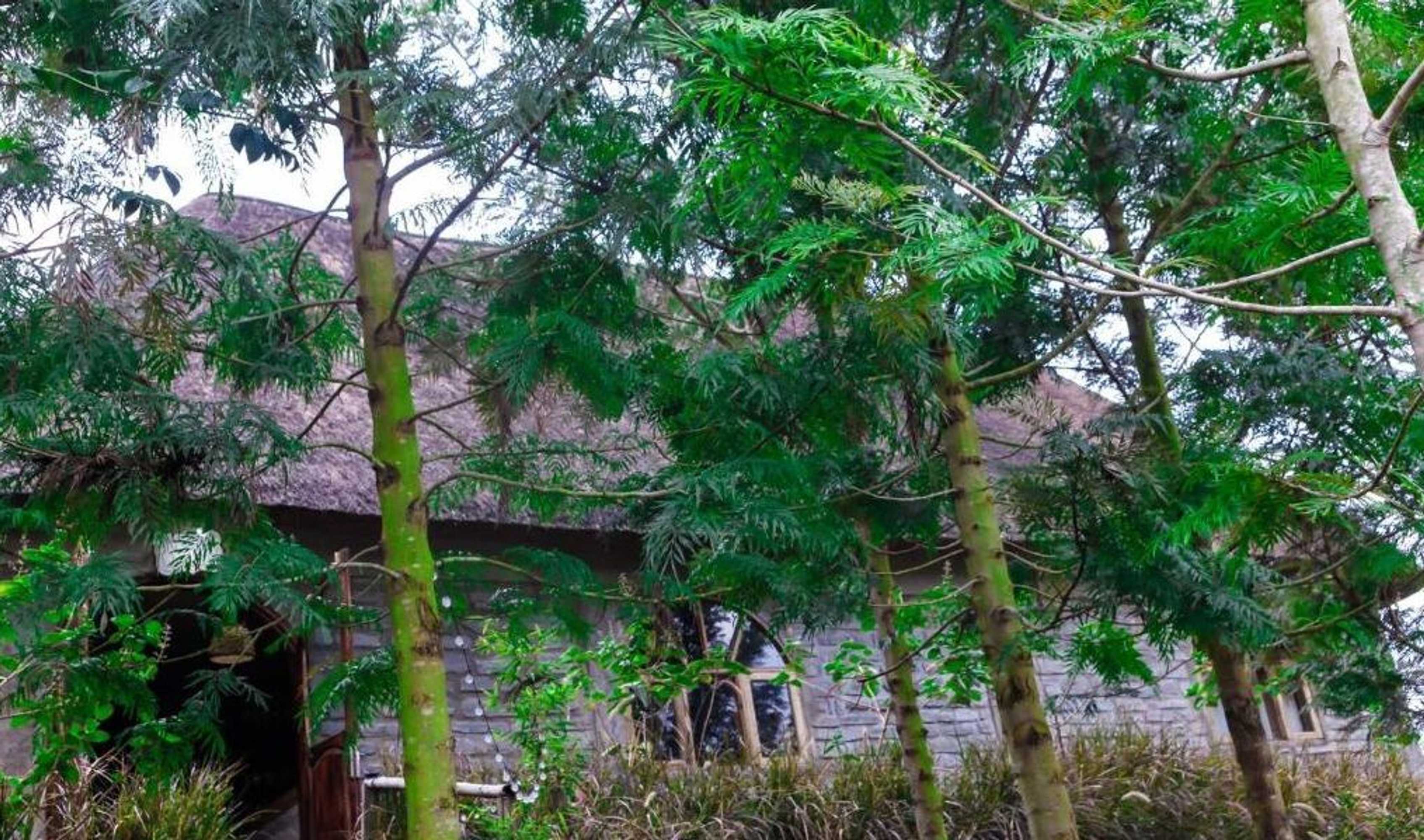 Gift card for Kyaninga Royal Cottage Gift card for Kyaninga Royal Cottage