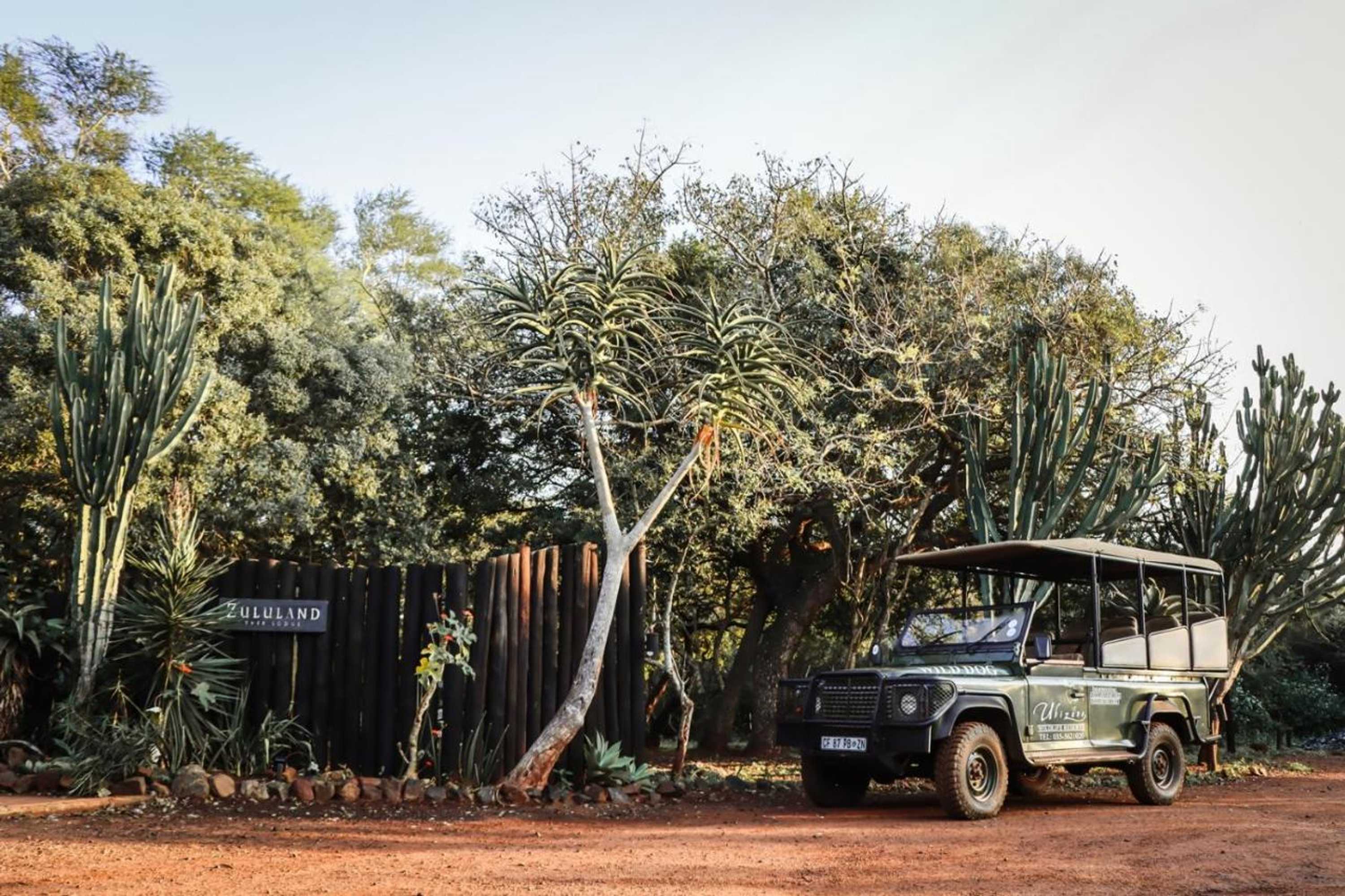 Gift card for Ubizane Zululand Tree Lodge Gift card for Ubizane Zululand Tree Lodge