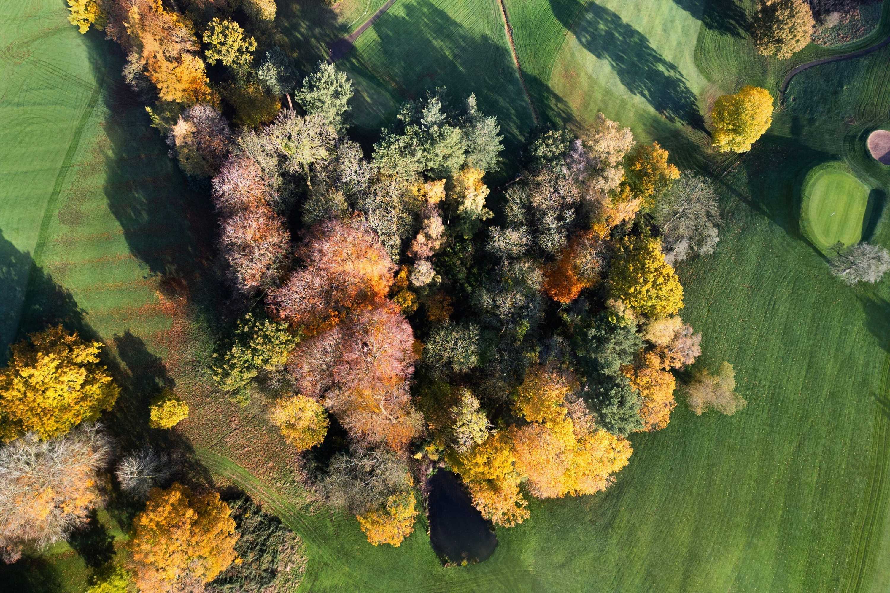 Gift card for Delta Hotels by Marriott Breadsall Priory Country Club