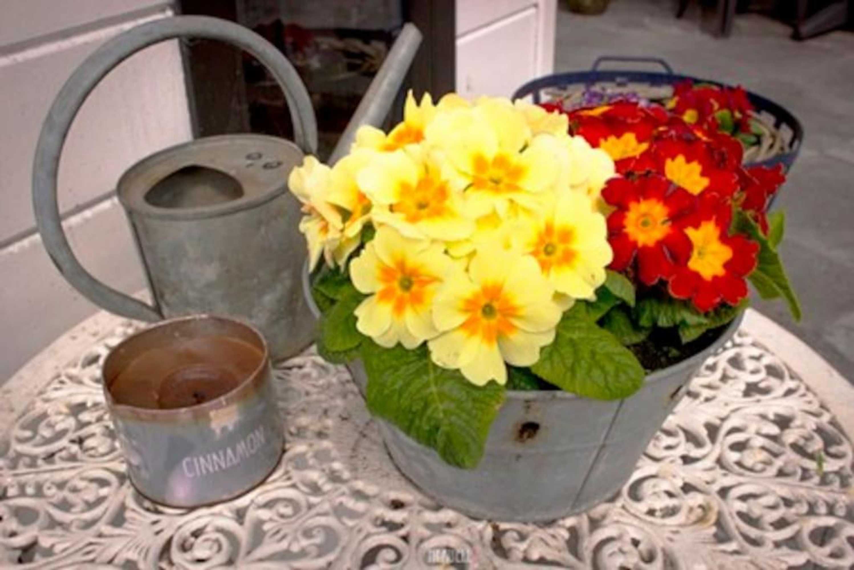 Gift card for Studio Polderpoort