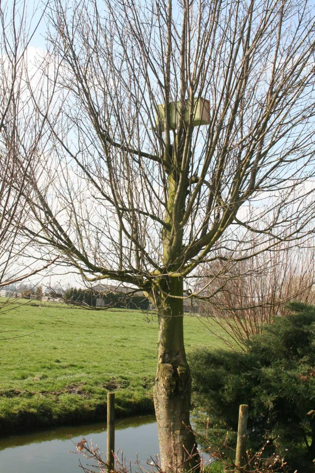 Gift card for Camping De Grienduil