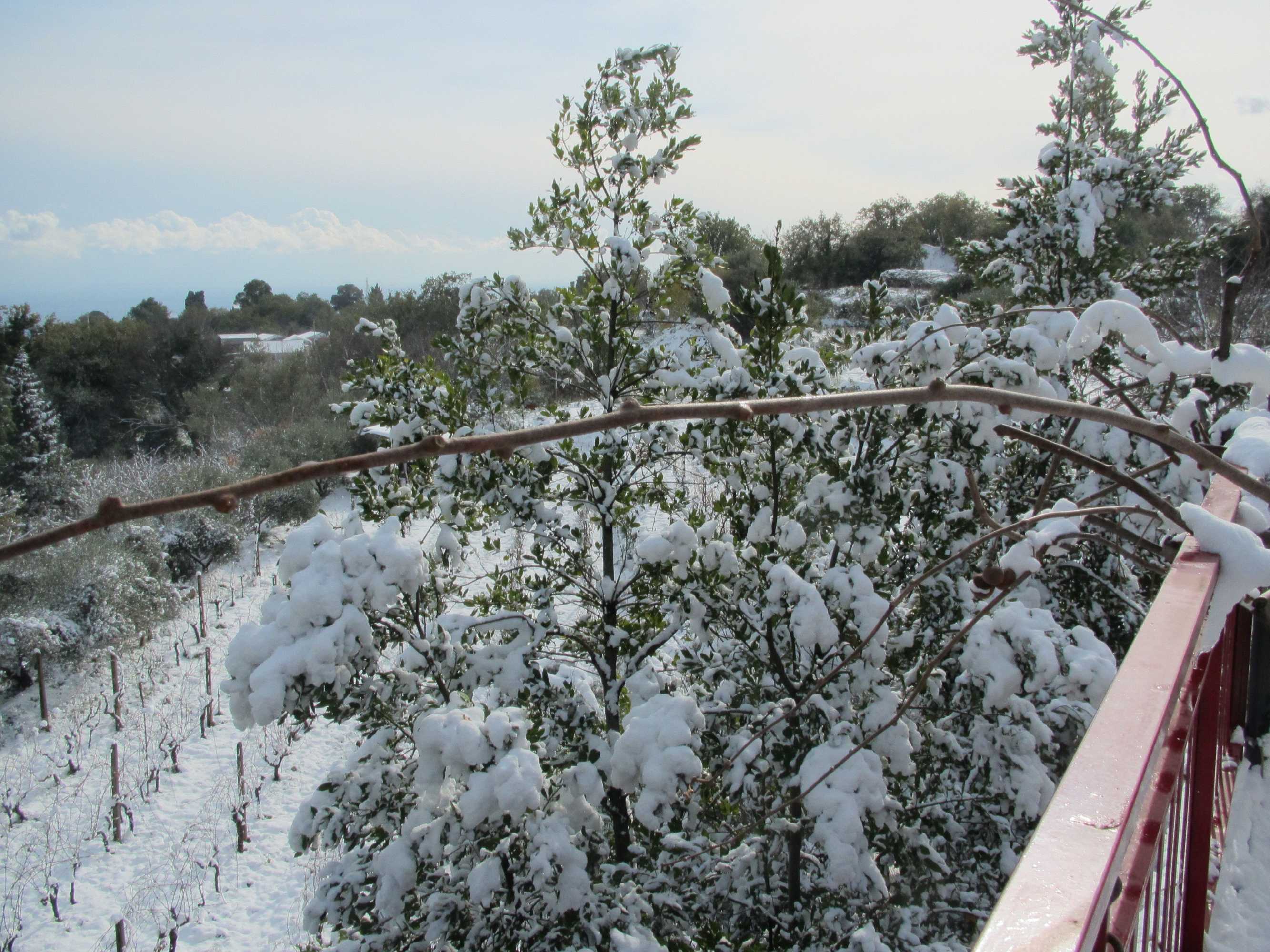 Gift card for Agriturismo Etna-Mare Gift card for Agriturismo Etna-Mare