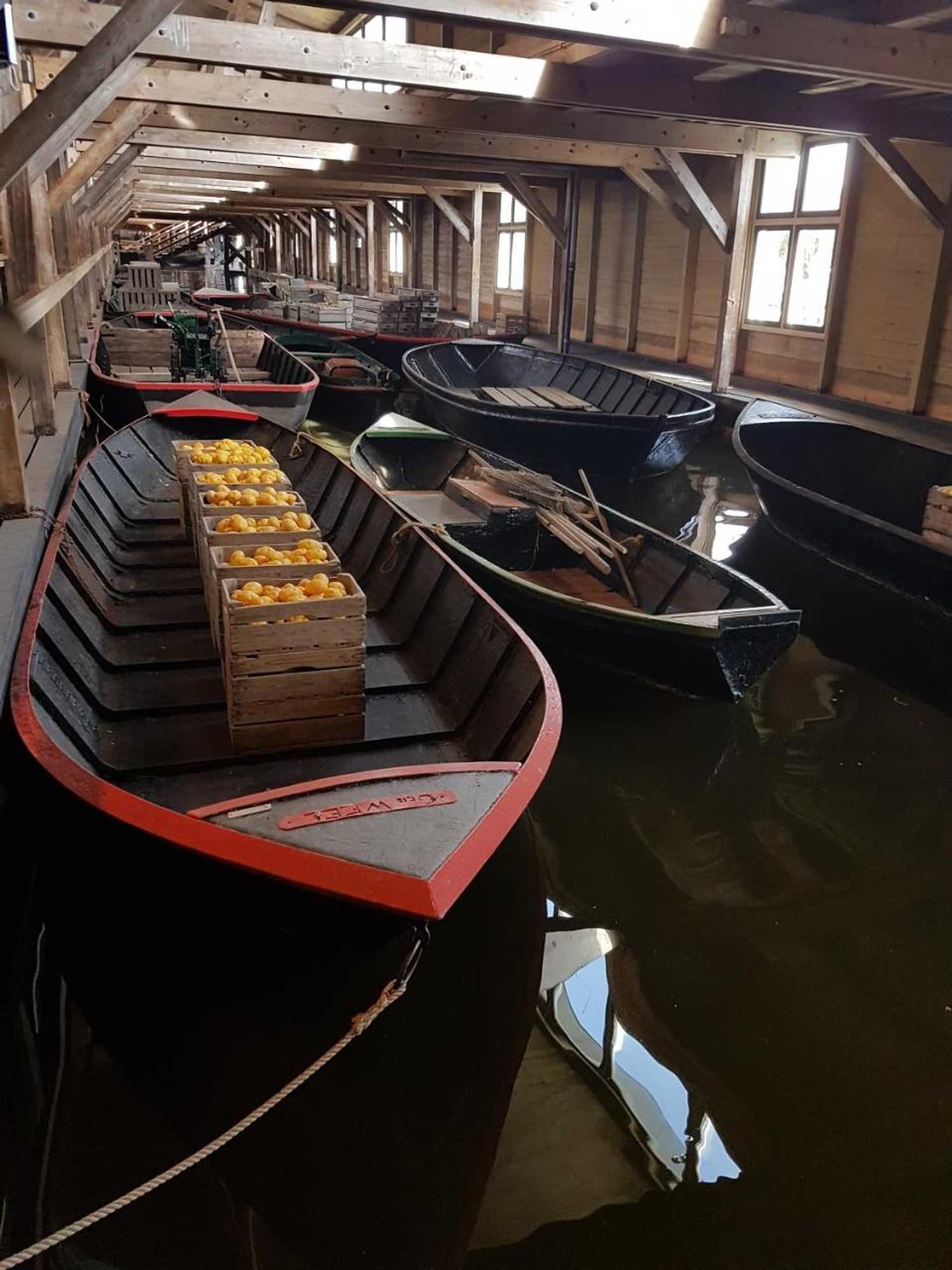 Gift card for Logeren op Dijk43