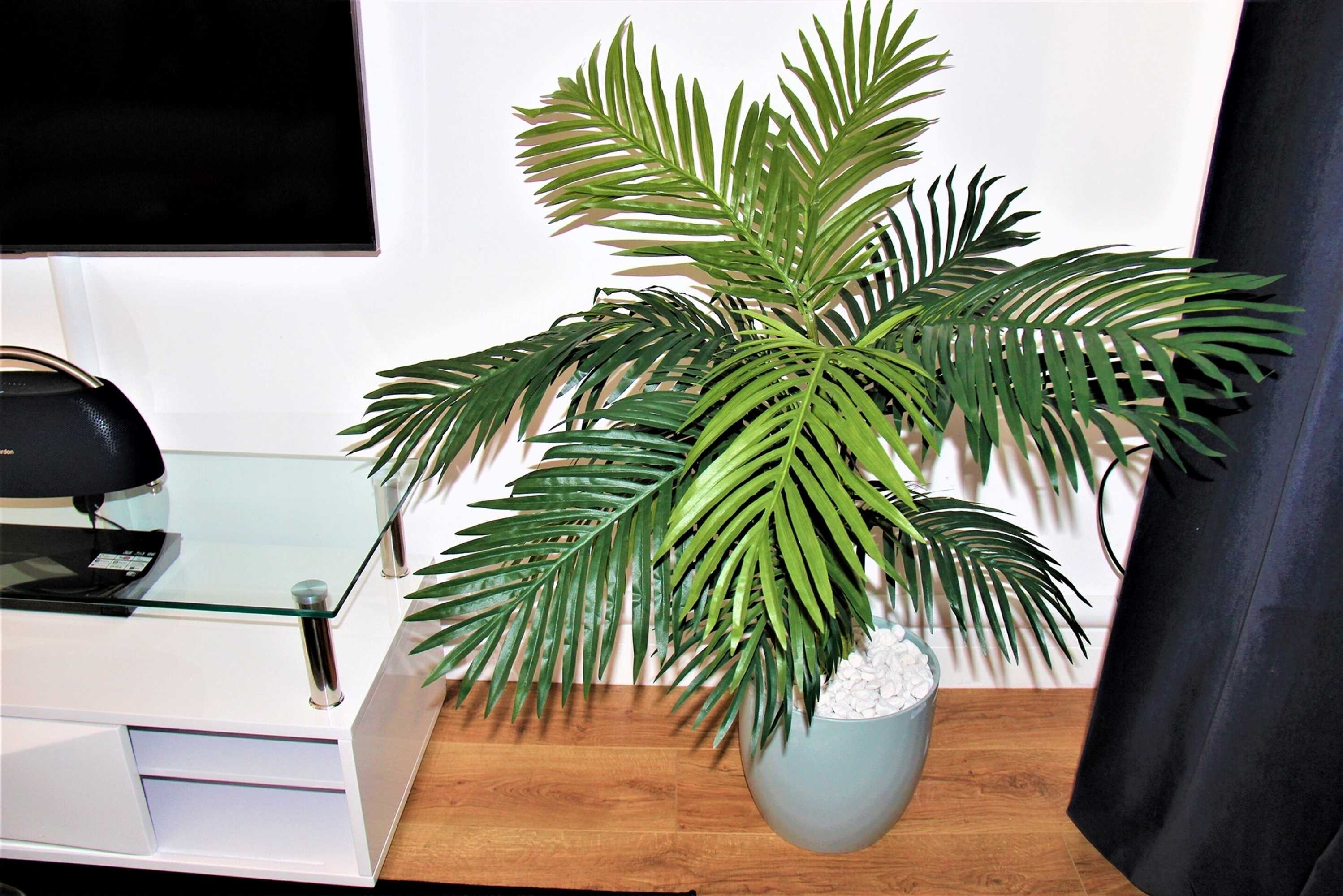 Gift card for Mosh Homes