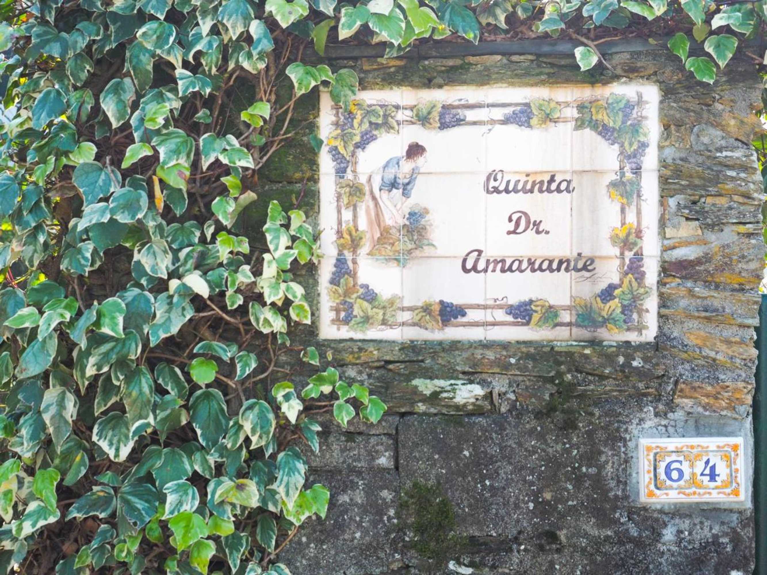 Gift card for Quinta Drº Amarante