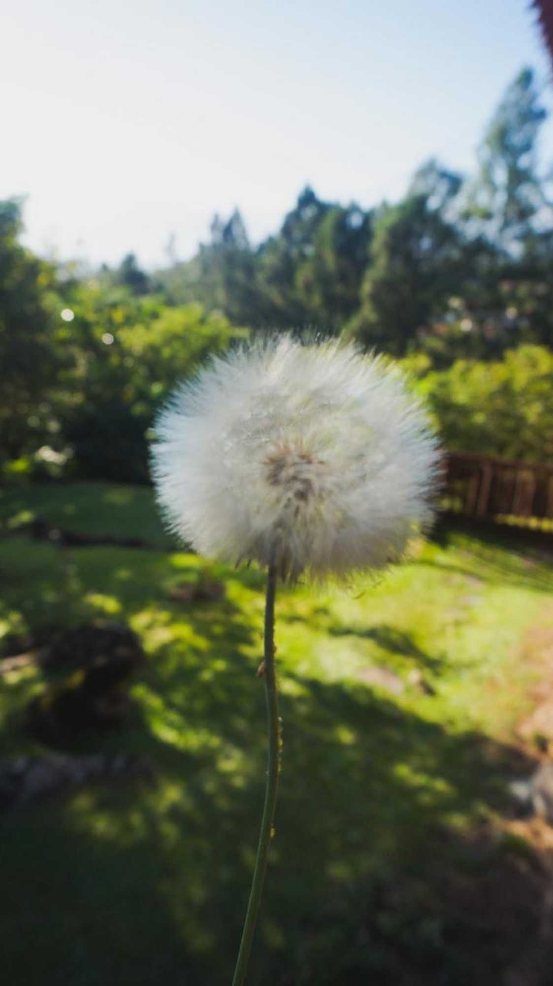 Gift card for Hospedaje La Naciente