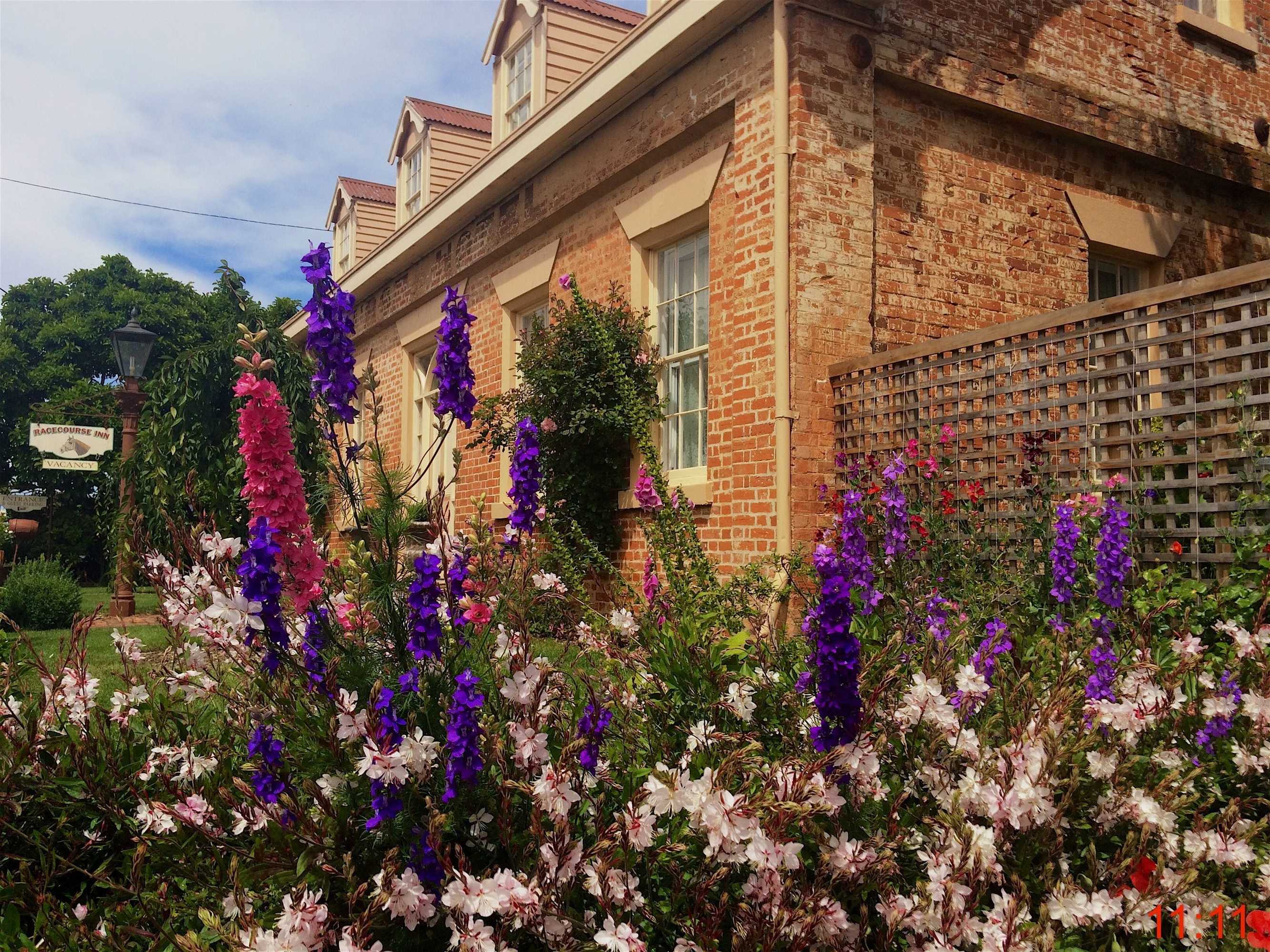 Gift card for The Racecourse Inn