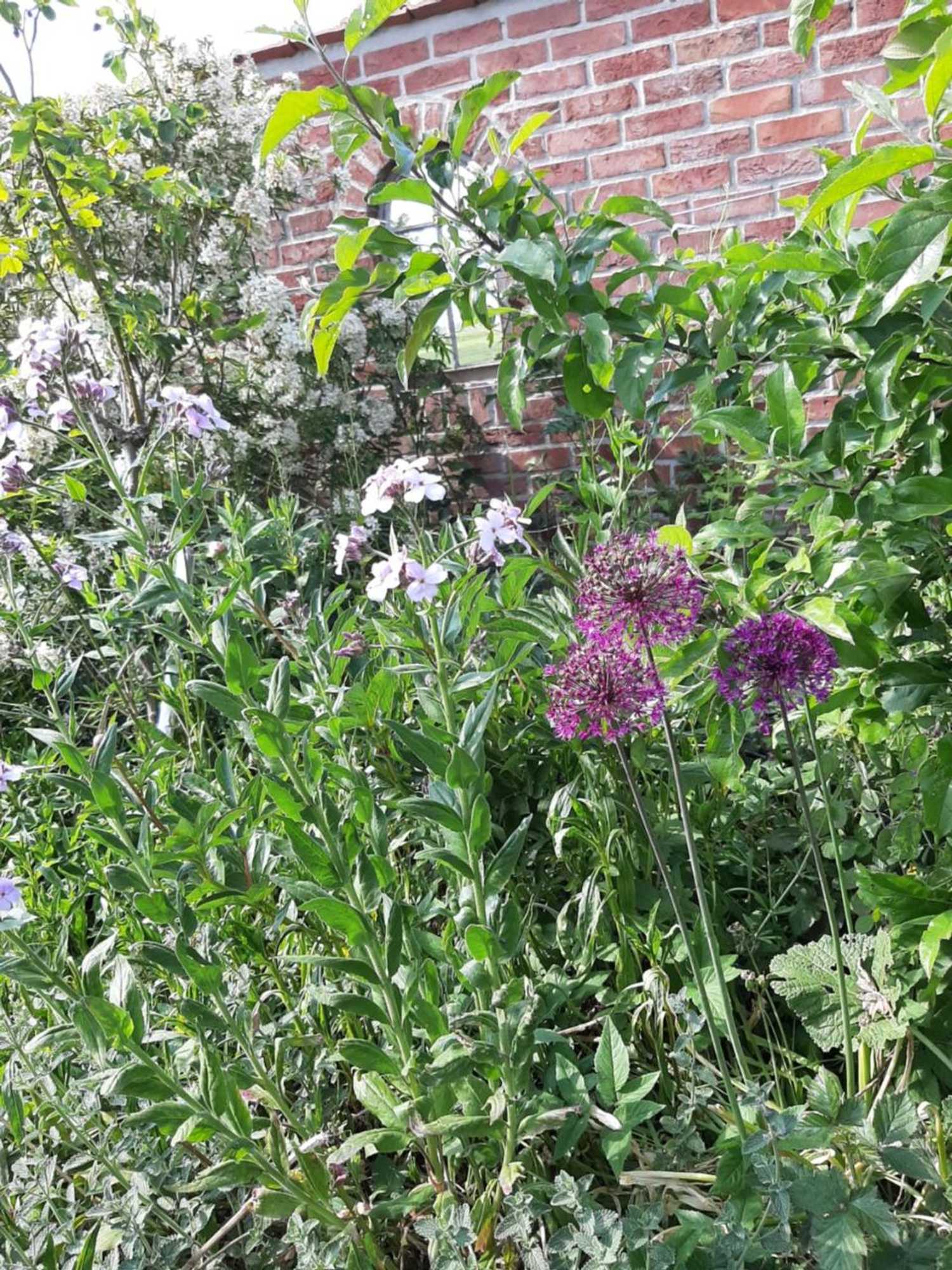 Gift card for Mahil-Laya