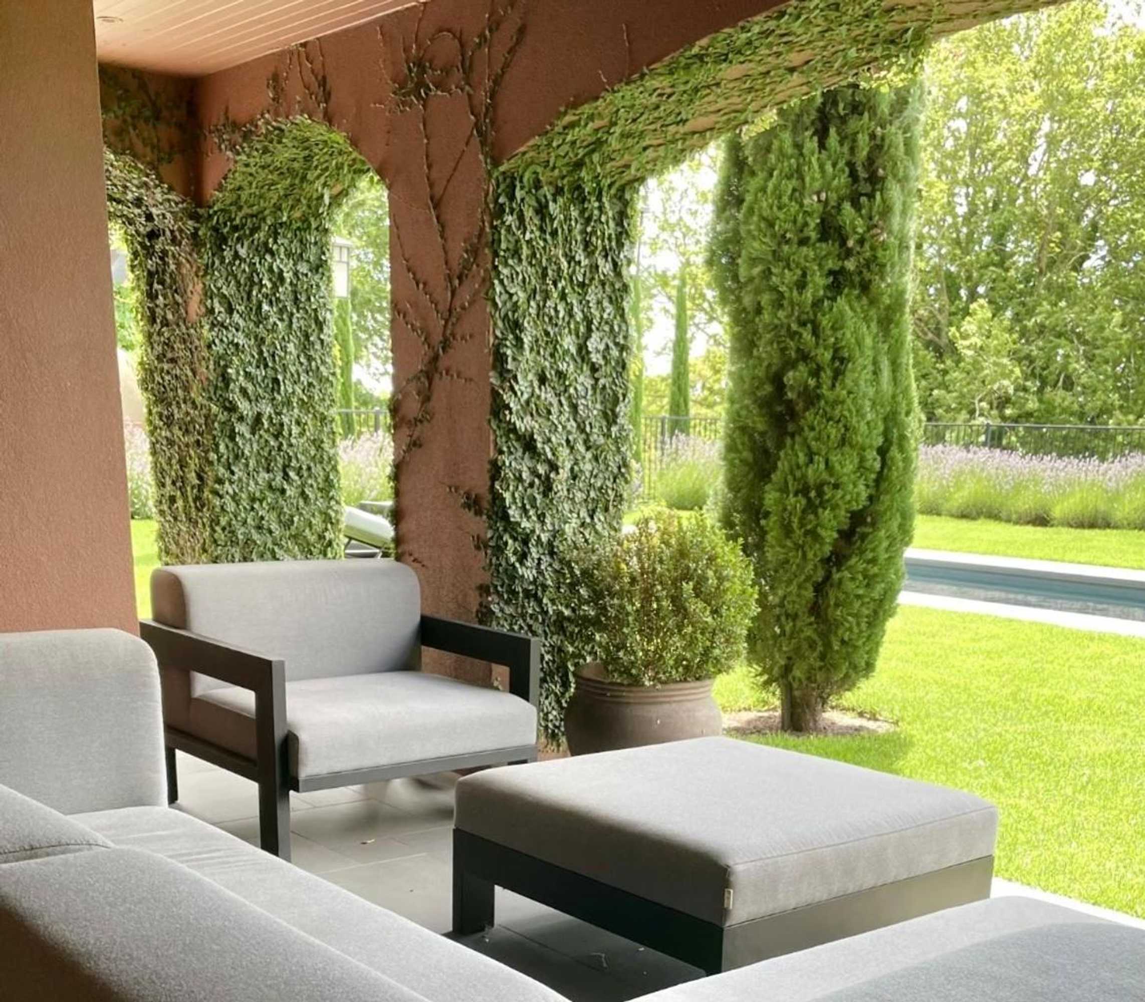 Gift card for Frogs Pond