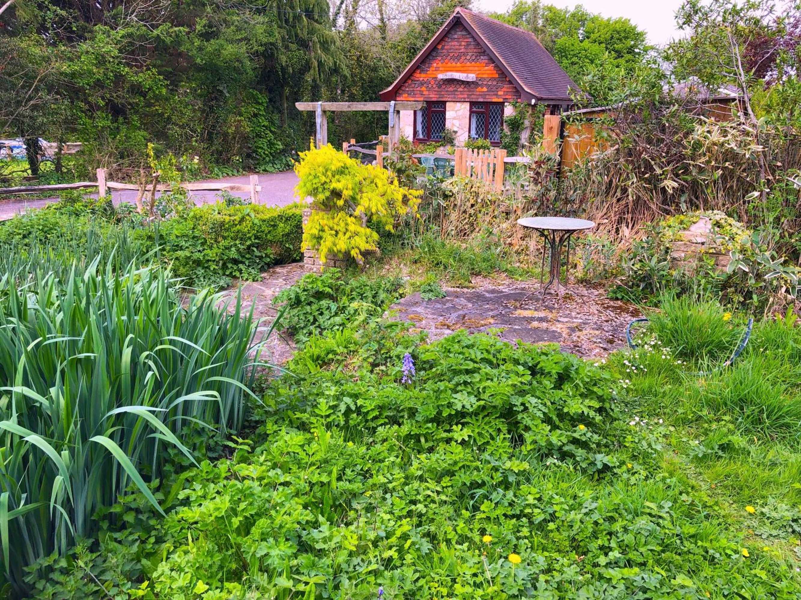 Gift card for Tovey Lodge