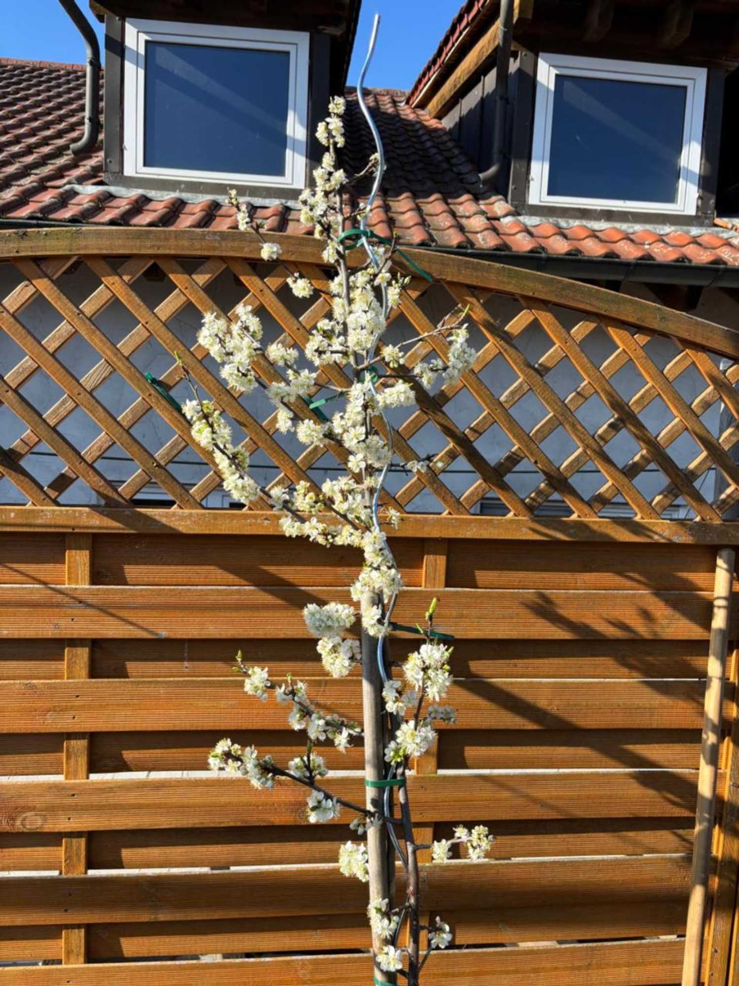 Gift card for Hotel Gästehaus Sonne