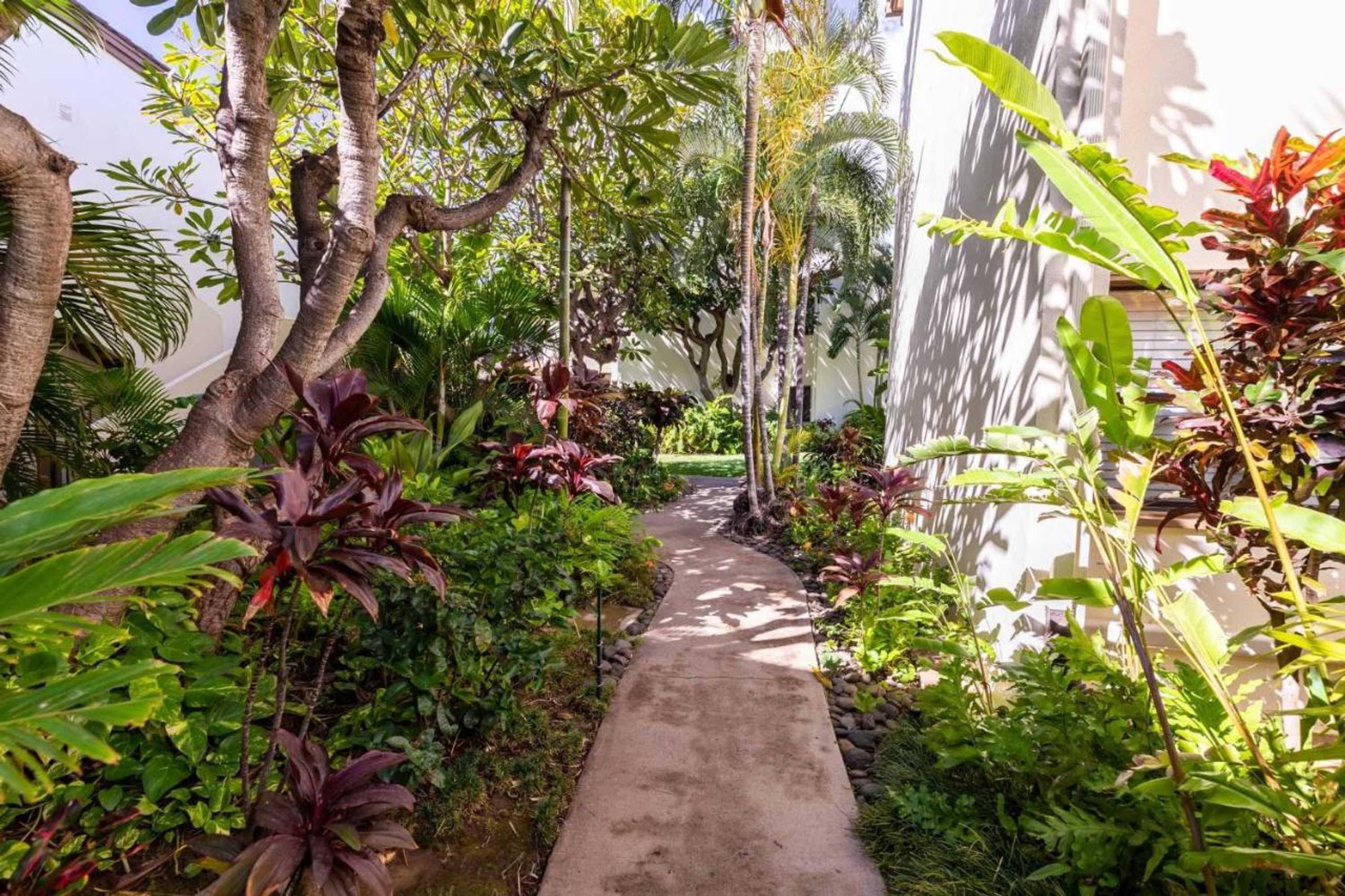 Gift card for Makani A Kai