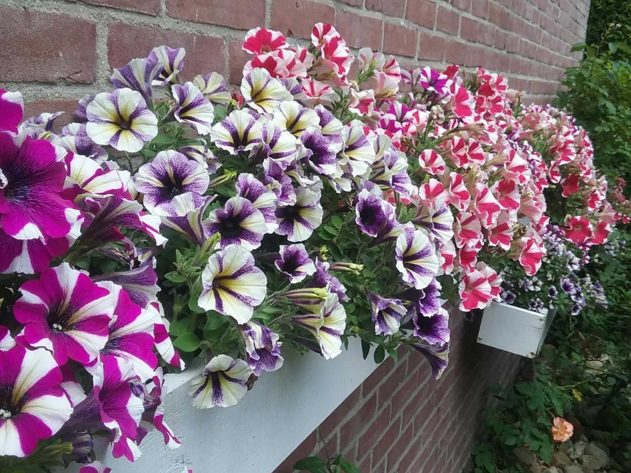 Gift card for Motel Koolen