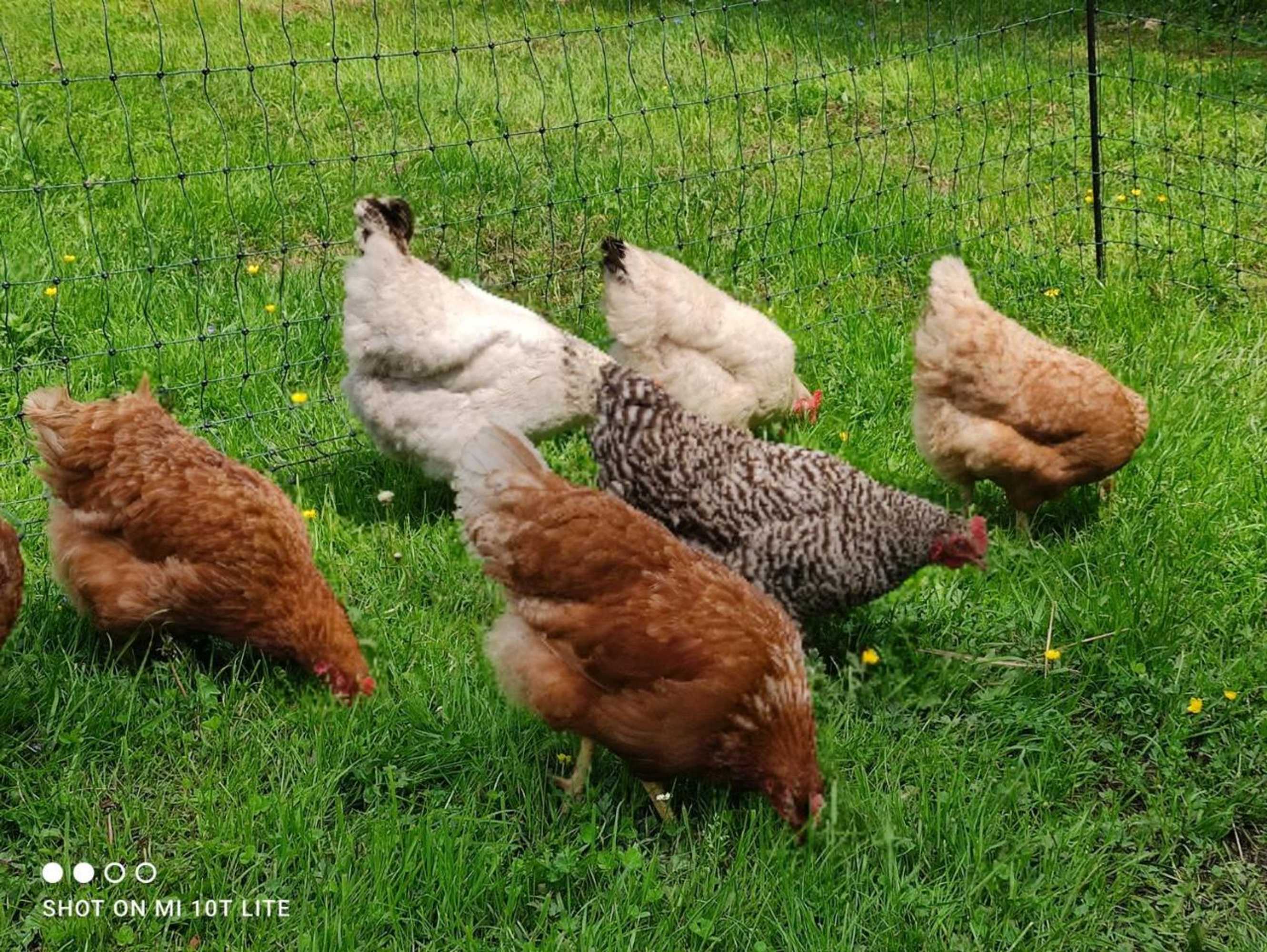 Gift card for Gästehaus Kuck