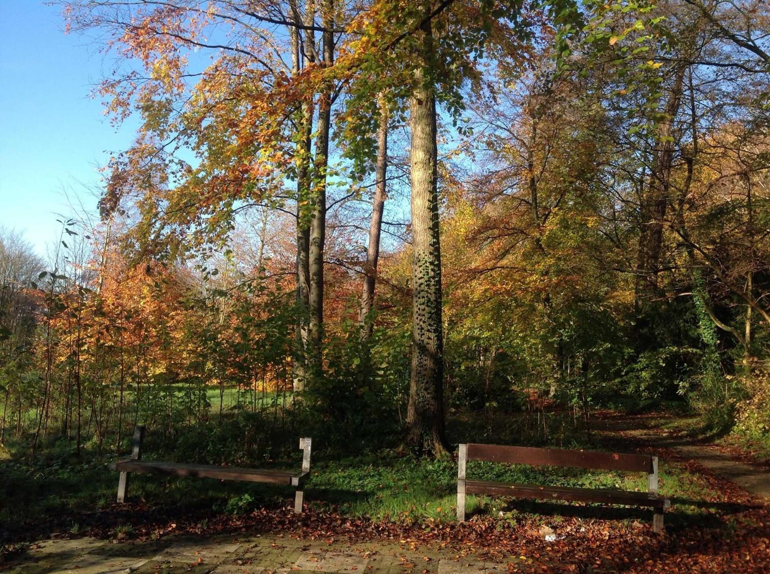 Gift card for Eurode Live