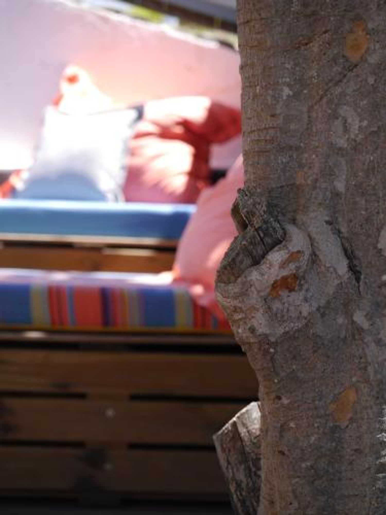 Gift card for Hostel & Surfcamp 55 Gift card for Hostel & Surfcamp 55