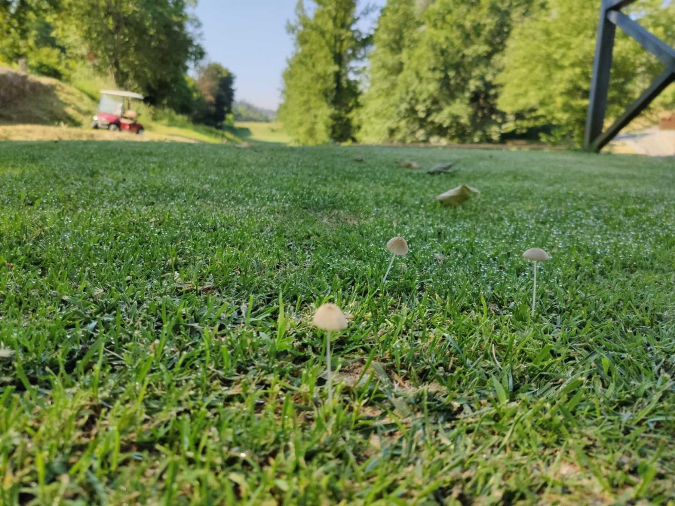 Gift card for Rilhadas Casas de Campo