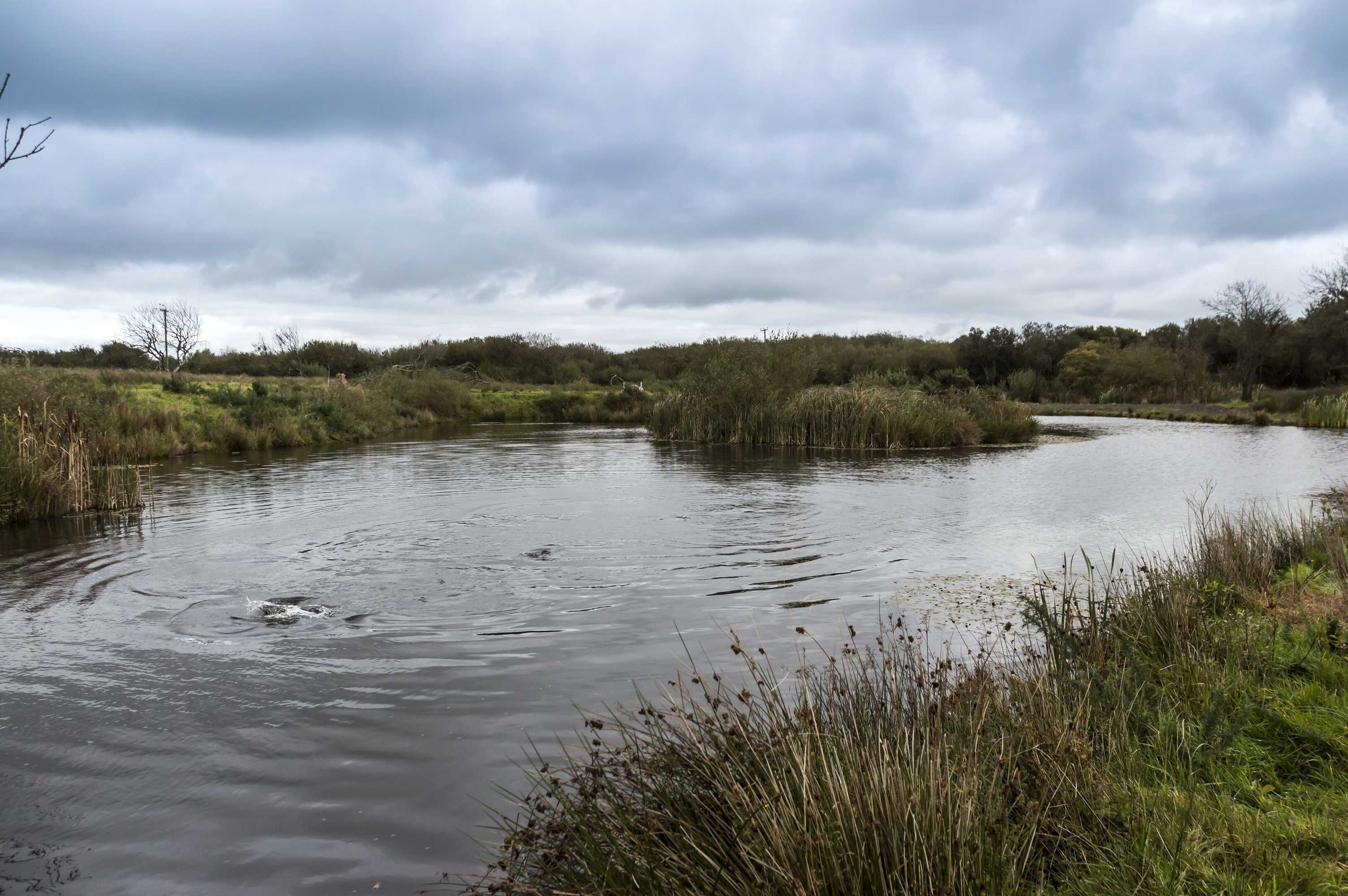 Gift card for Lavender - Luxurious Barn Conversion