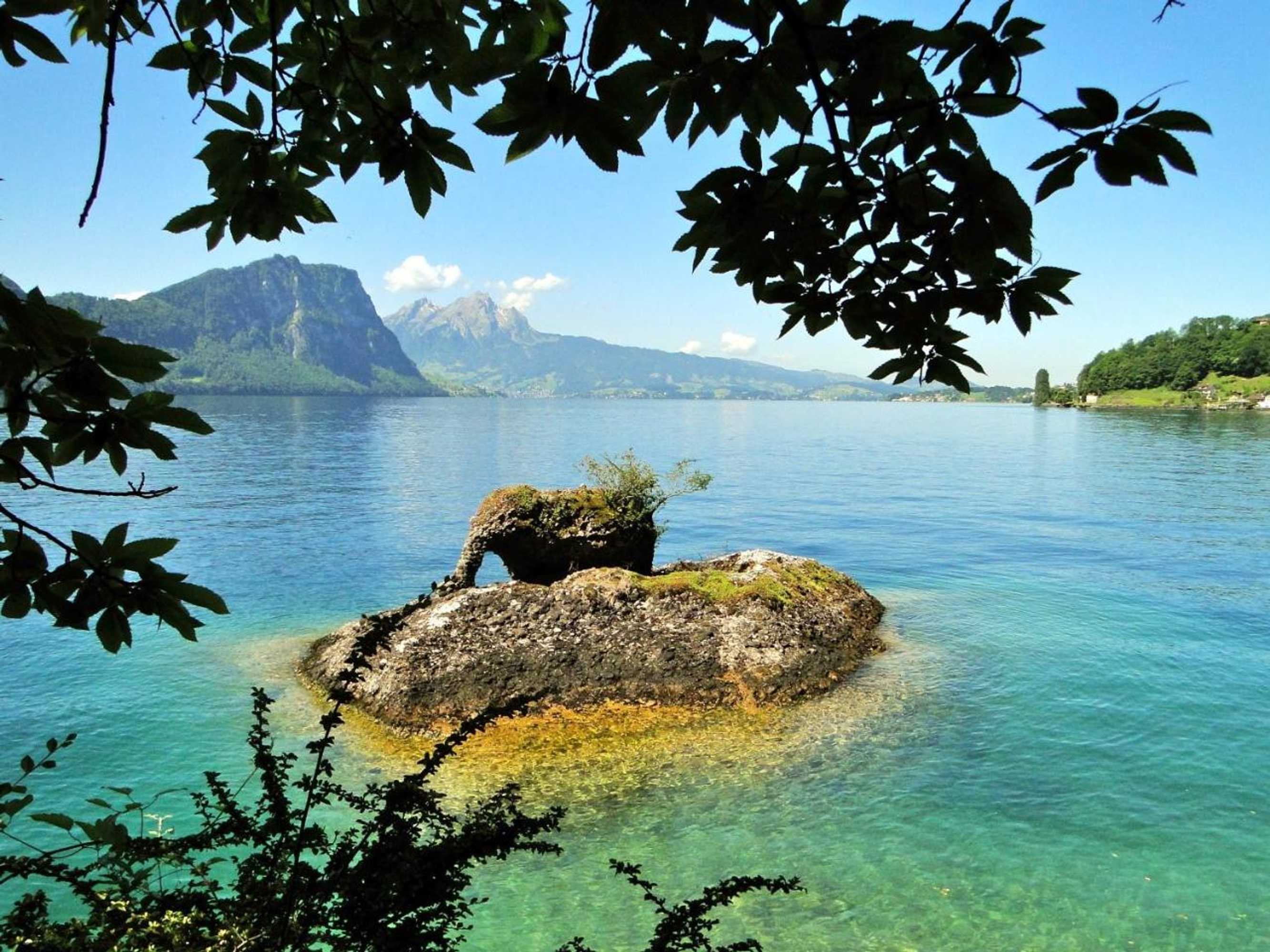 Gift card for Seehotel Gotthard