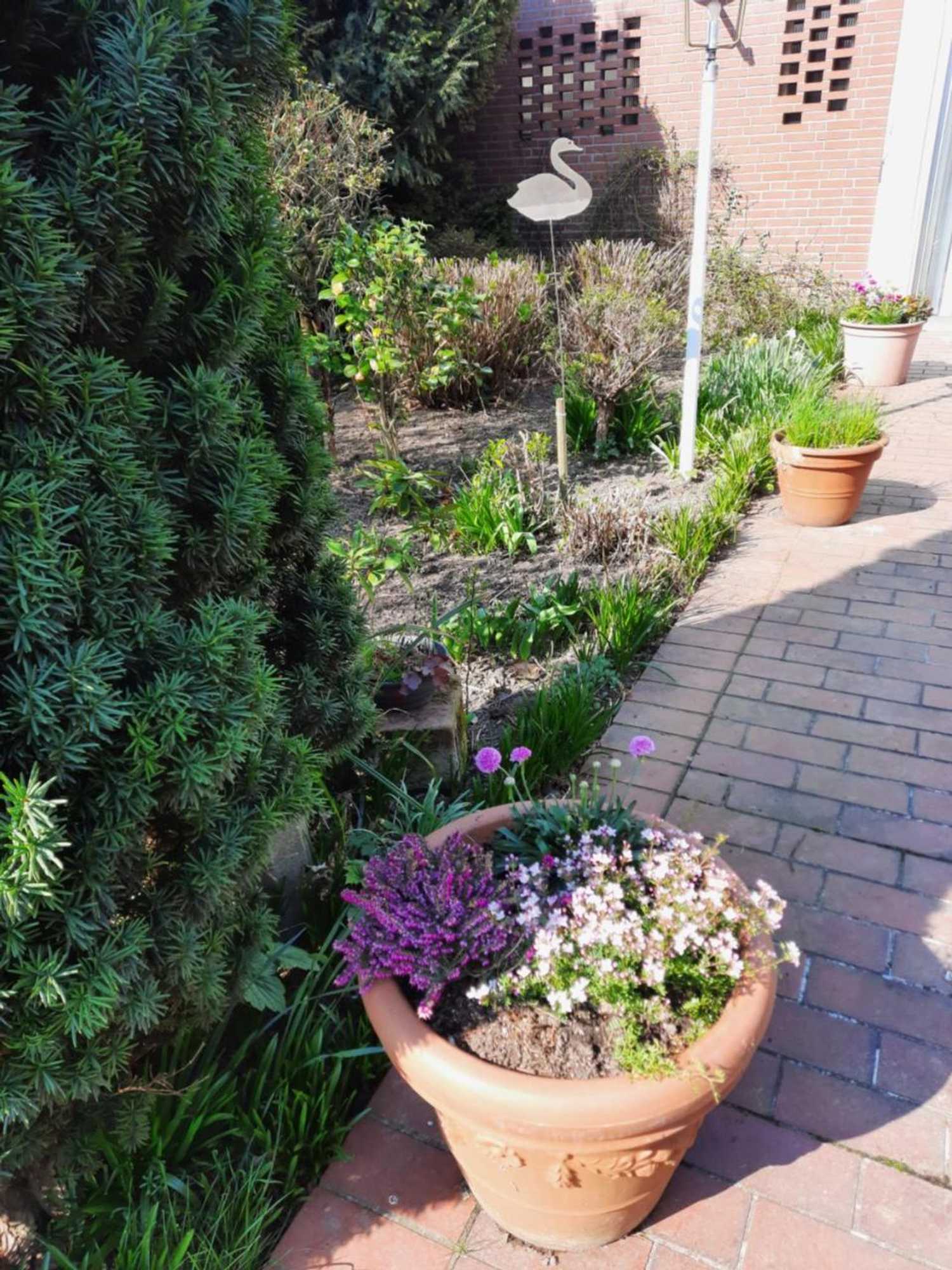 Gift card for Hotel Zur Brücke