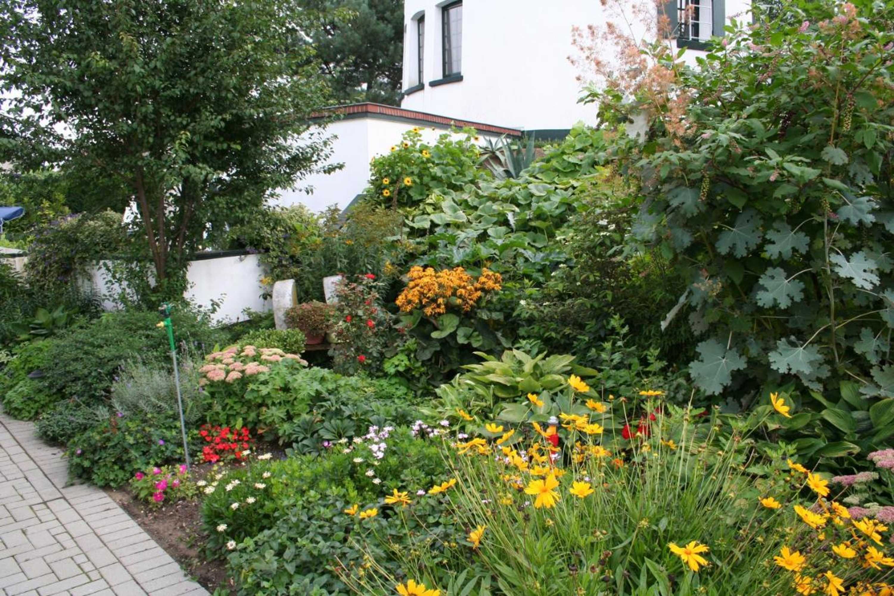 Gift card for De Witte Molen Kranenburg