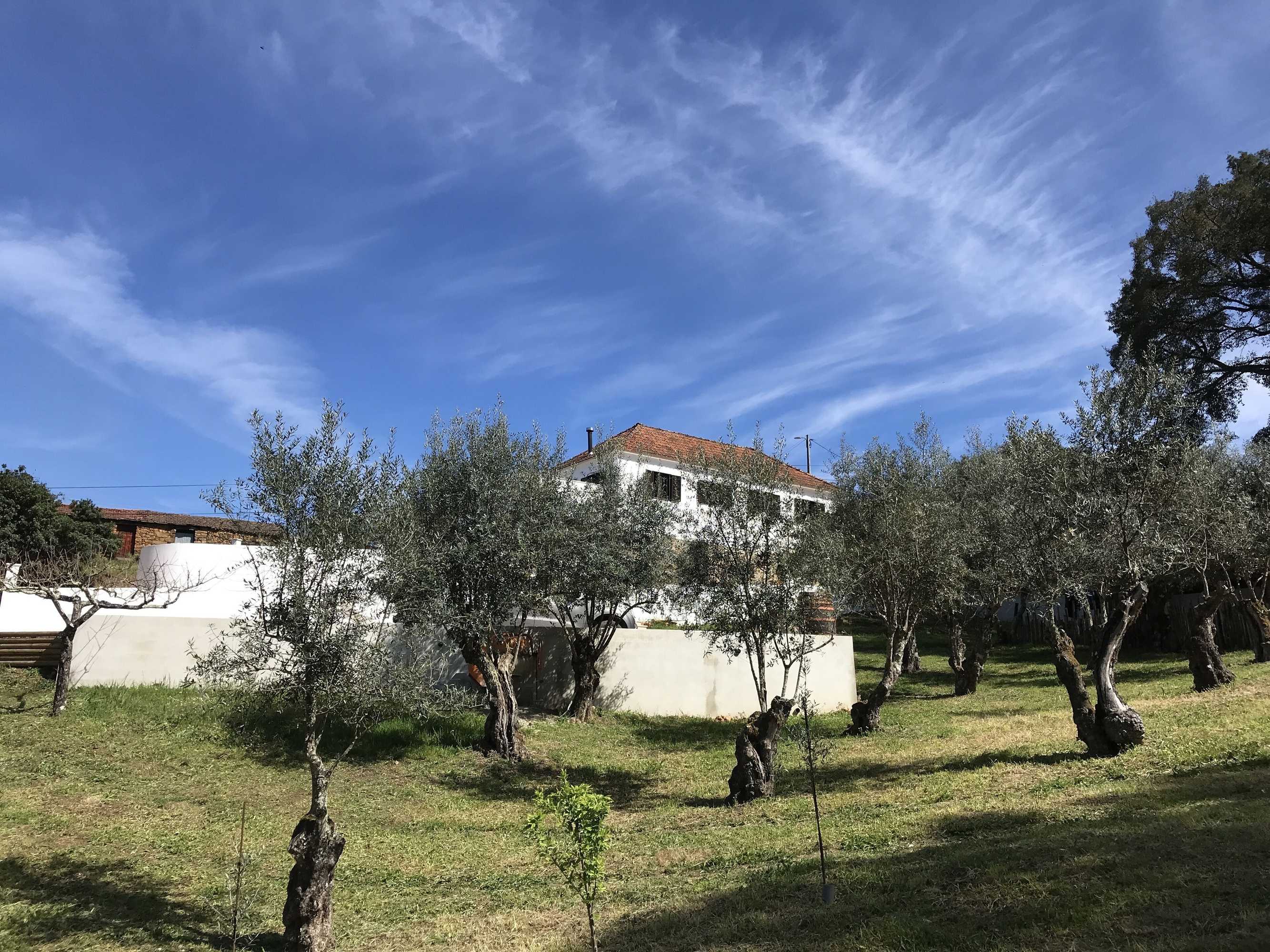 Gift card for Casa da Oliveira