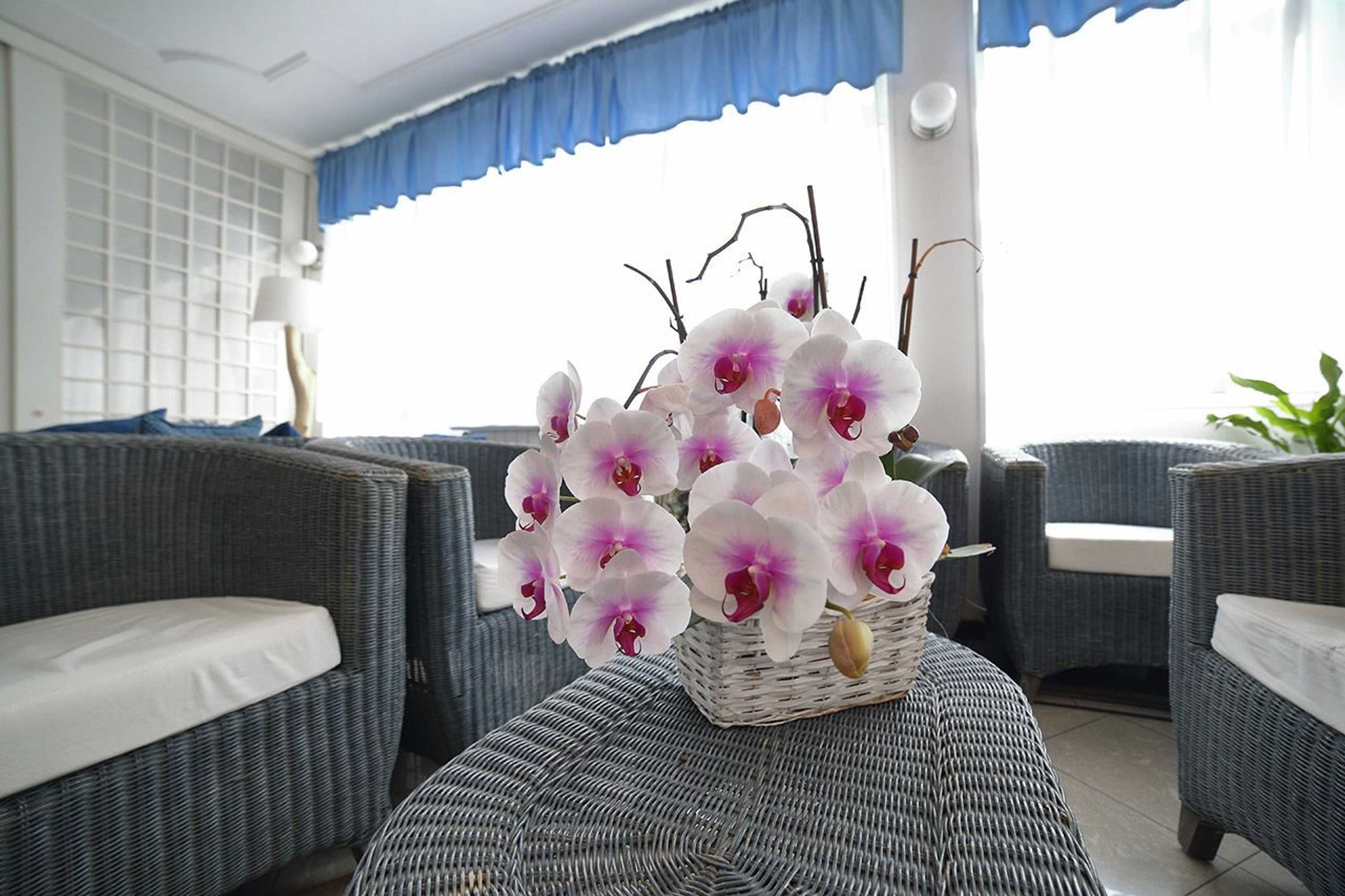 Gift card for Hotel Villa Rosa Gift card for Hotel Villa Rosa