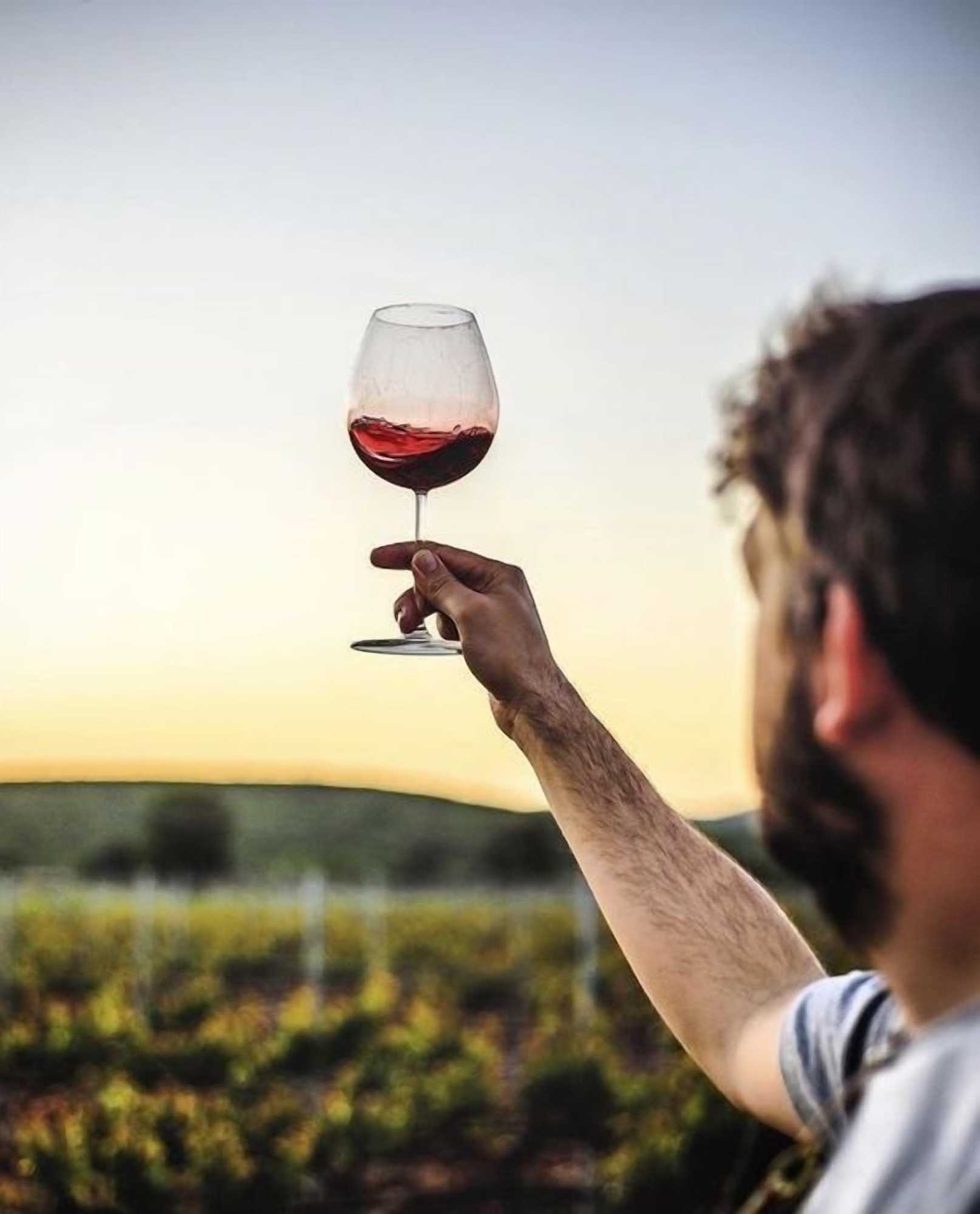 Gift card for Quinta DA Faisca - Agro Turismo