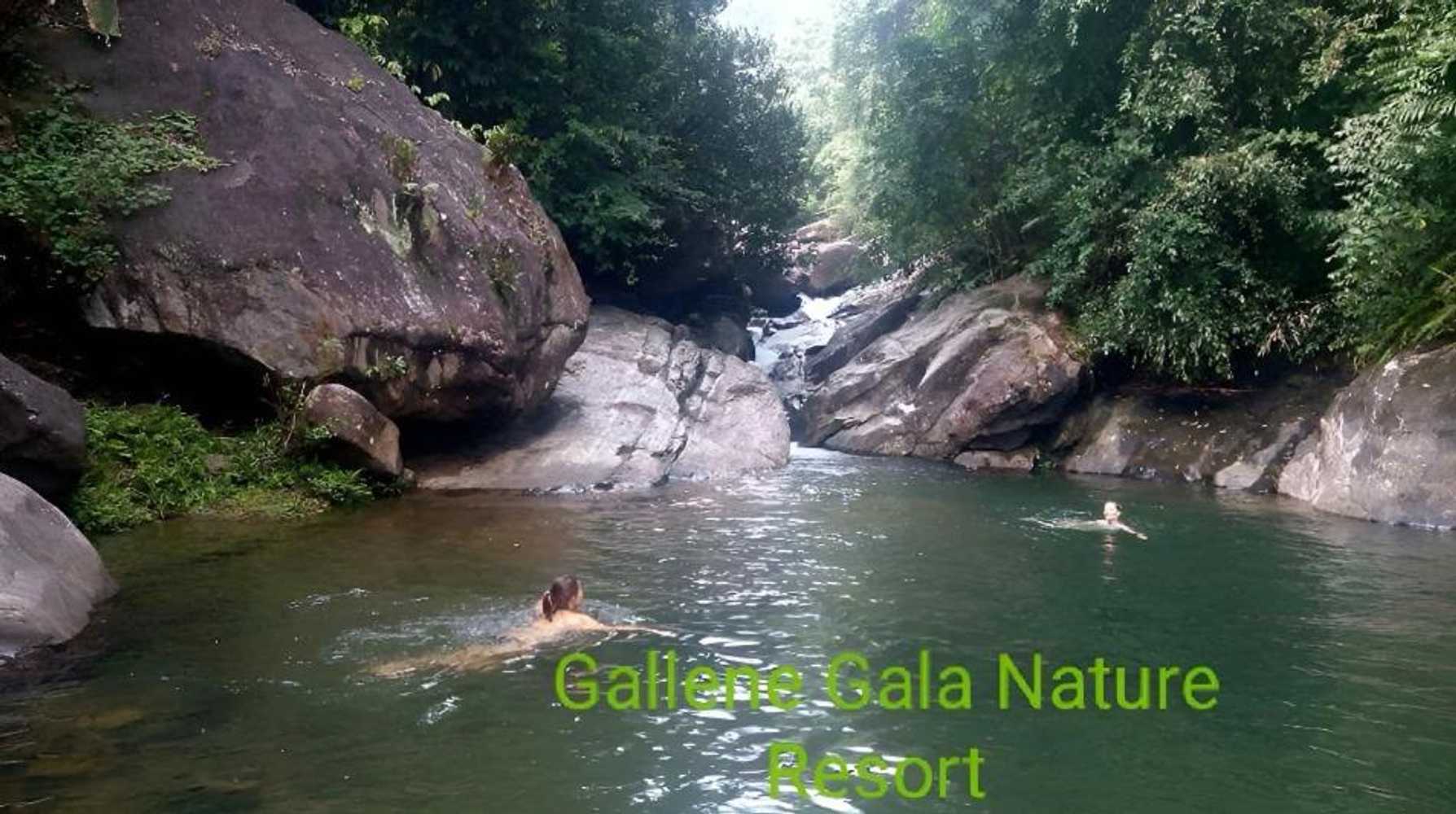 Gift card for Gallene Gala Nature Resort