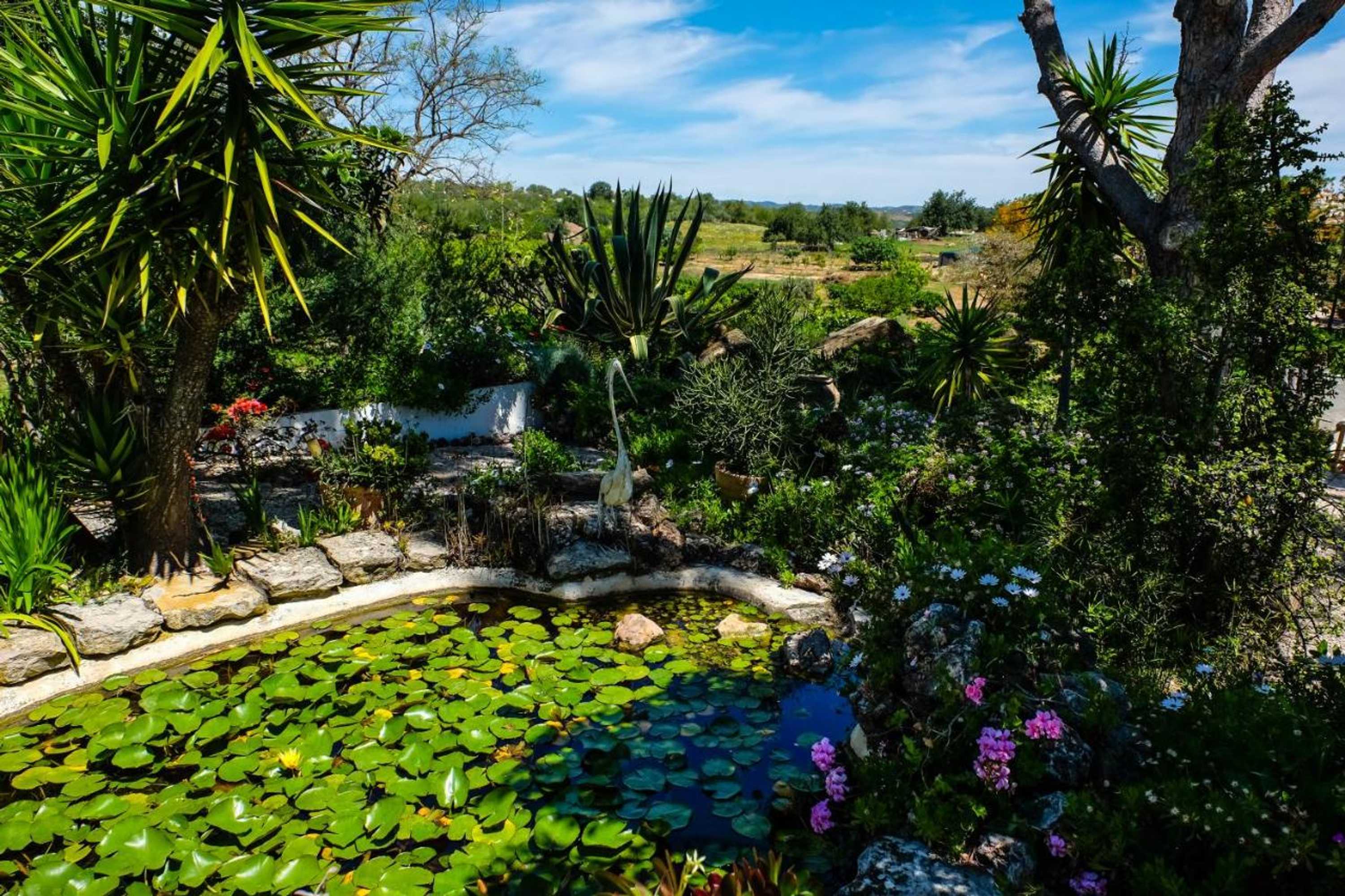 Gift card for Casa Vale Del Rei