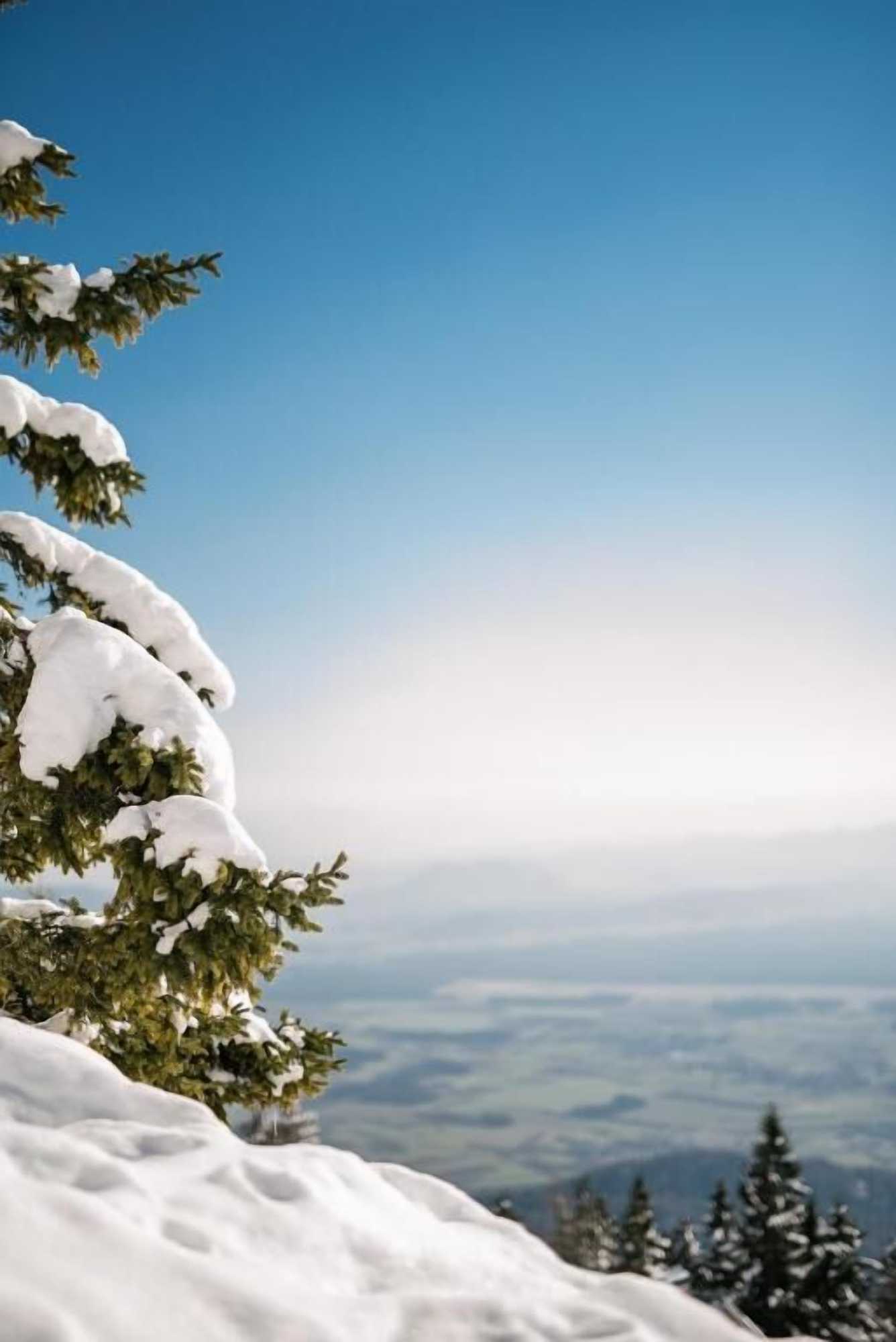 Gift card for Hotel House Rozka, Ski-In Ski-Out Krvavec Gift card for Hotel House Rozka, Ski-In Ski-Out Krvavec