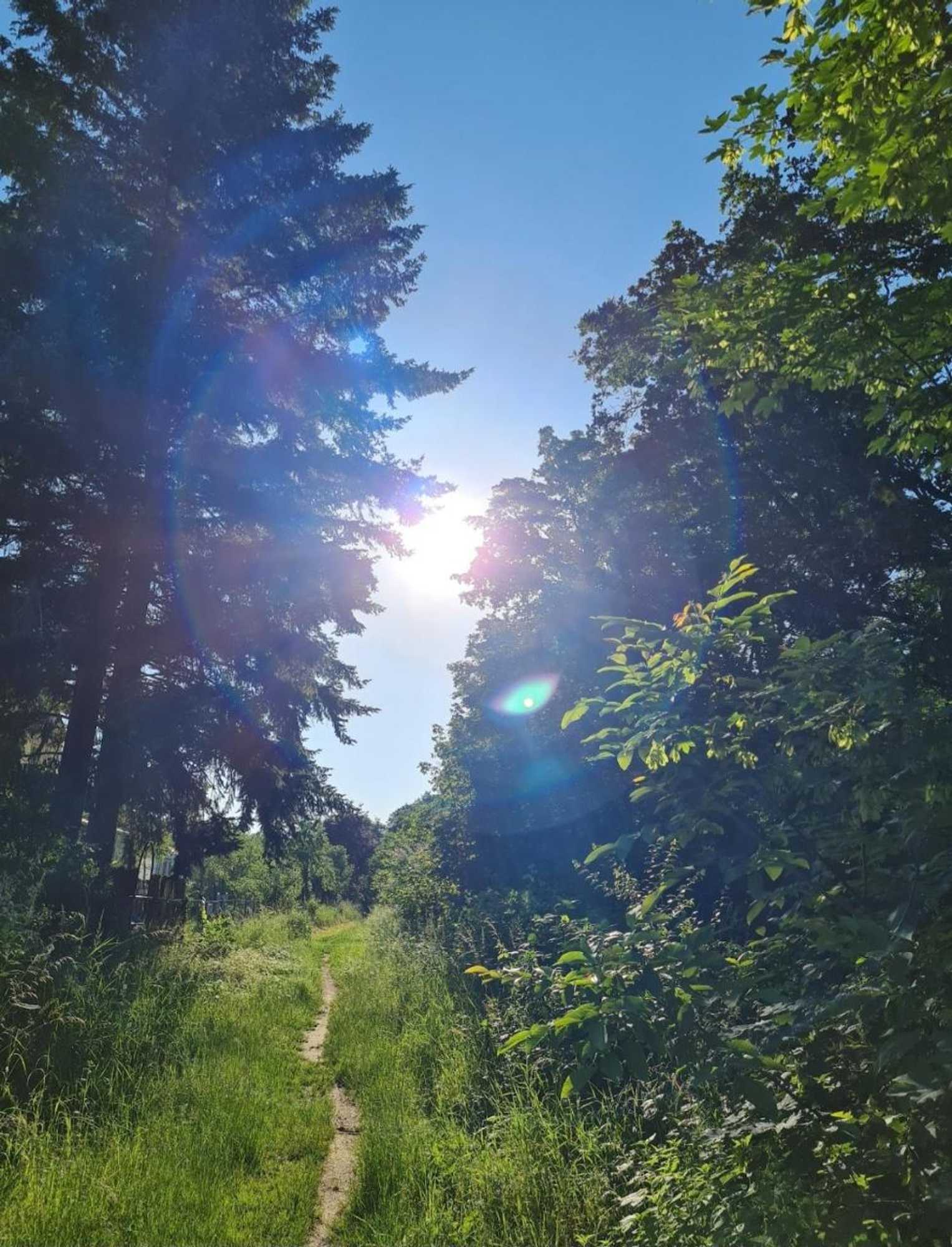 Gift card for Hotel Reuterhof