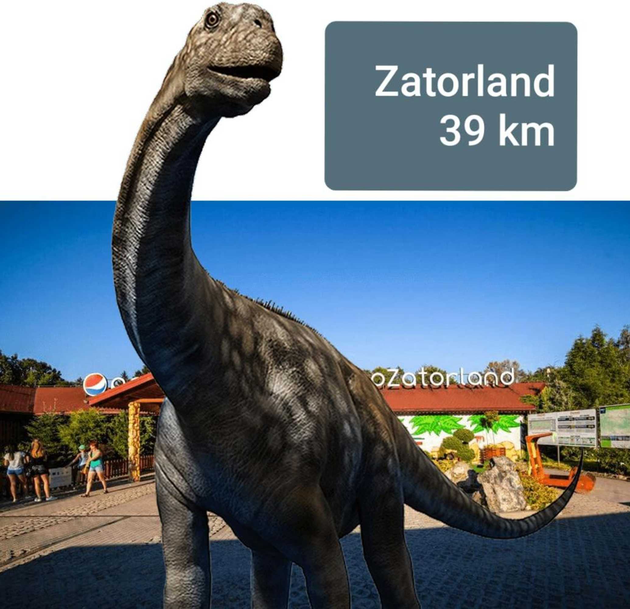 Gift card for Podbucznik 1 Pilsko