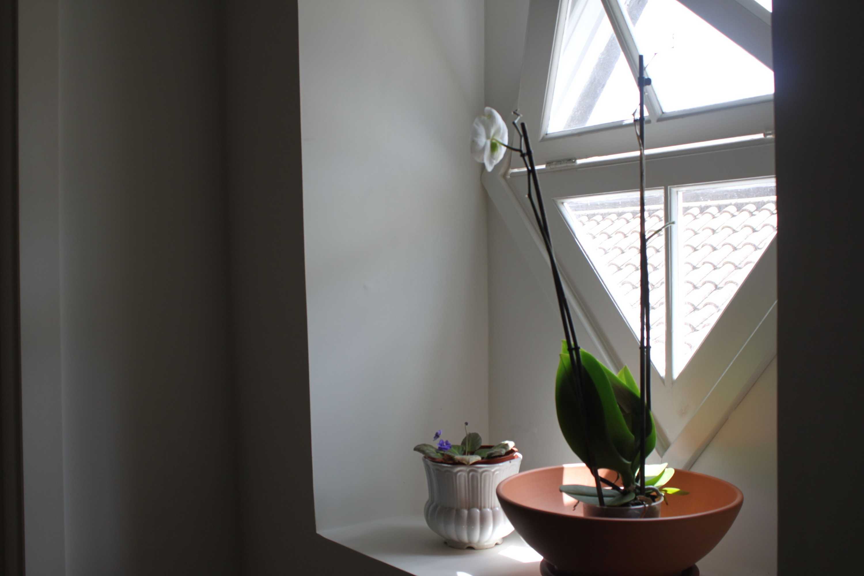 Gift card for Casa da Cisaltina