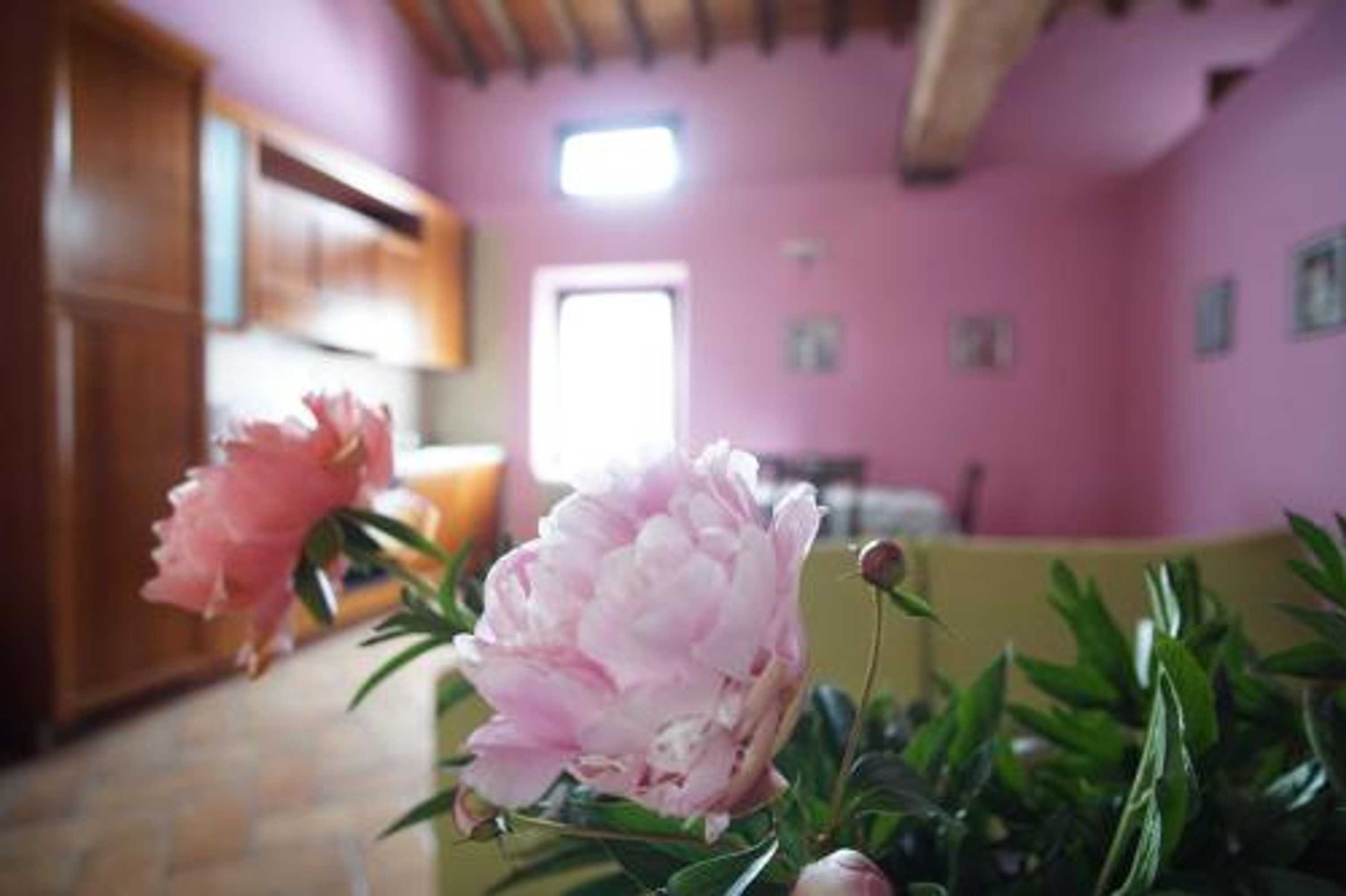 Gift card for Agriturismo Aggazzotti Gift card for Agriturismo Aggazzotti