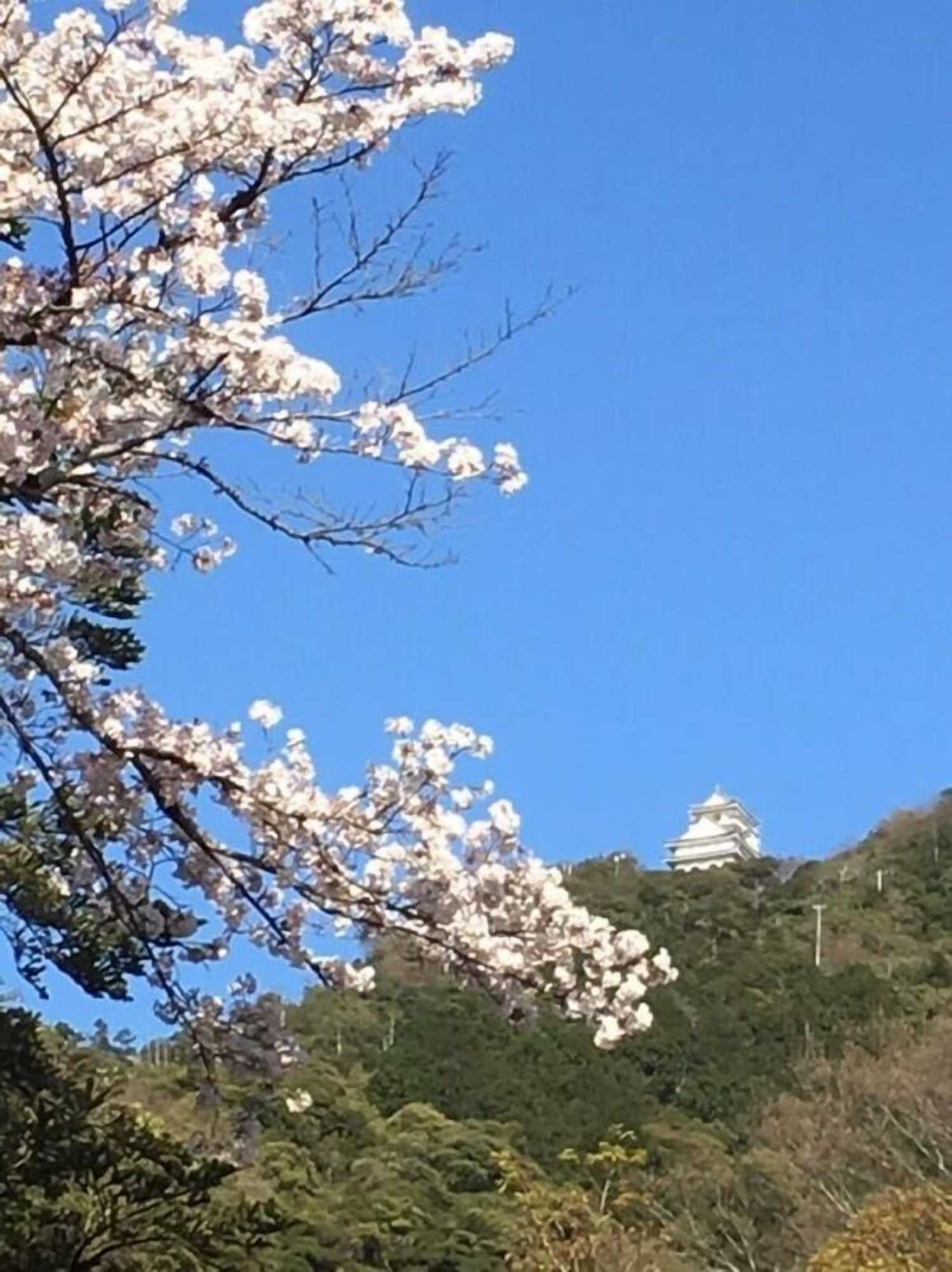 Gift card for Hotel Grandvert Gizan