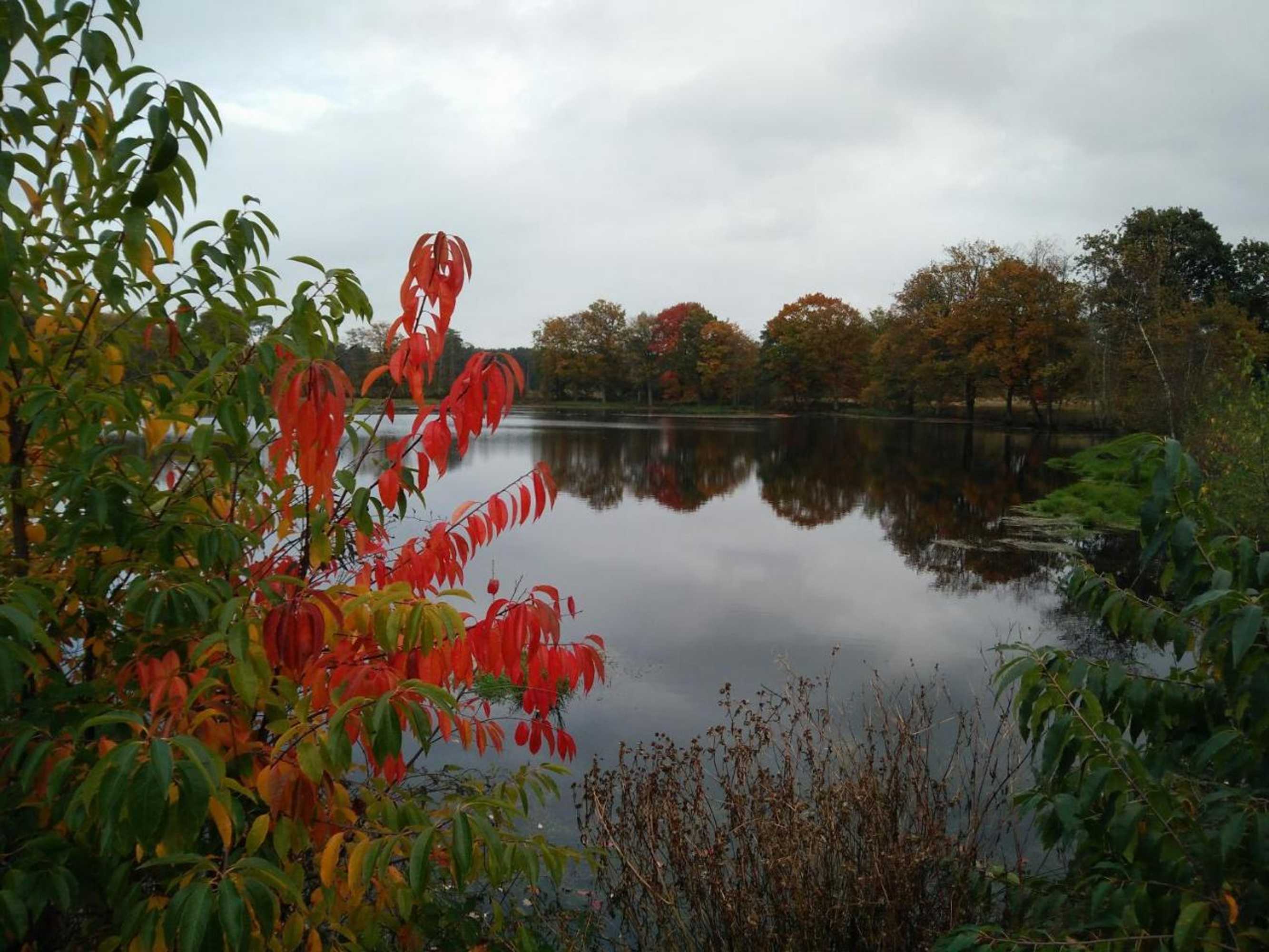 Gift card for B&b Tspijker