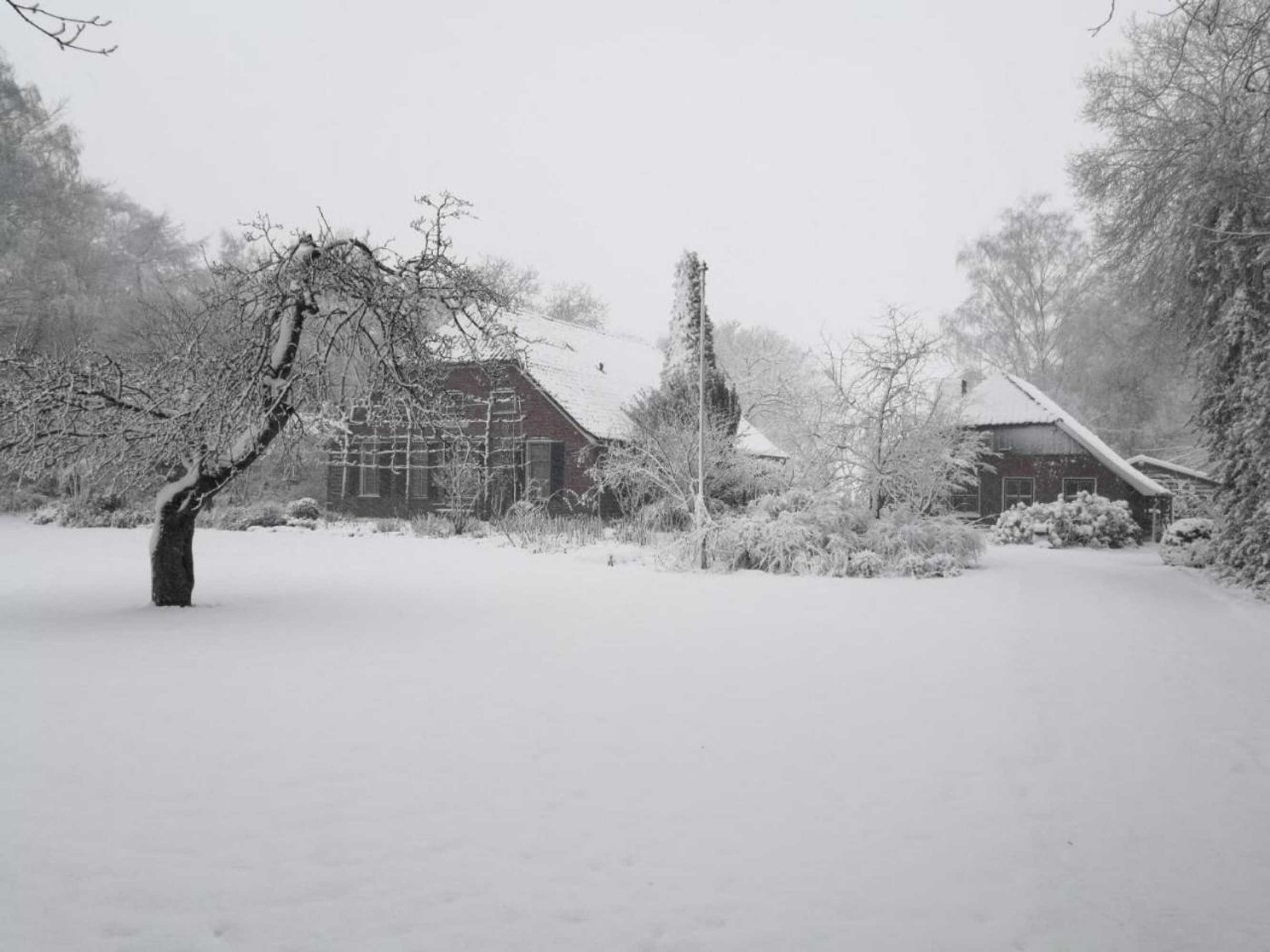 Gift card for Gastenverblijf 't Oelengoor