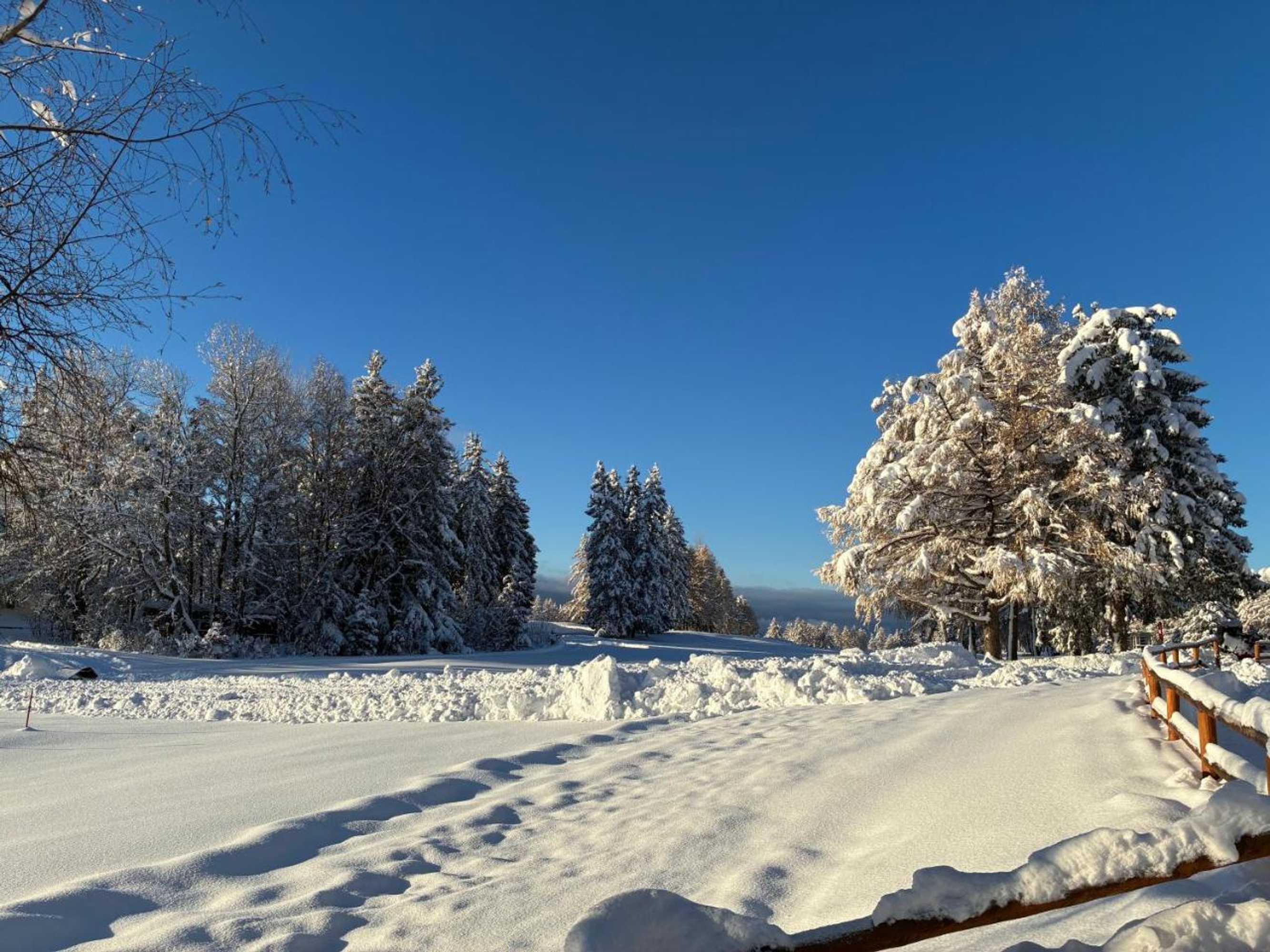 Gift card for Sport Palace