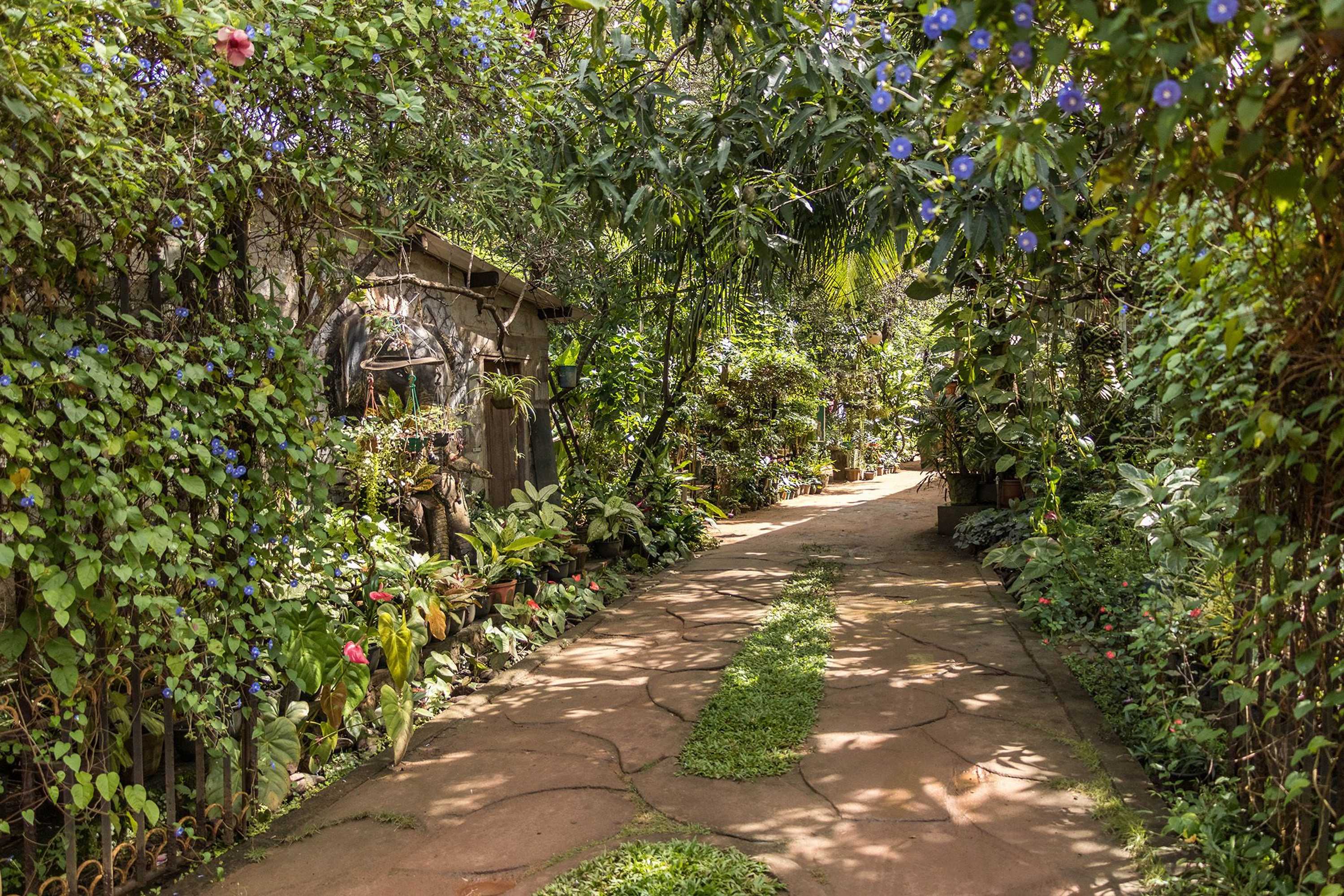 Gift card for Green Garden Resort