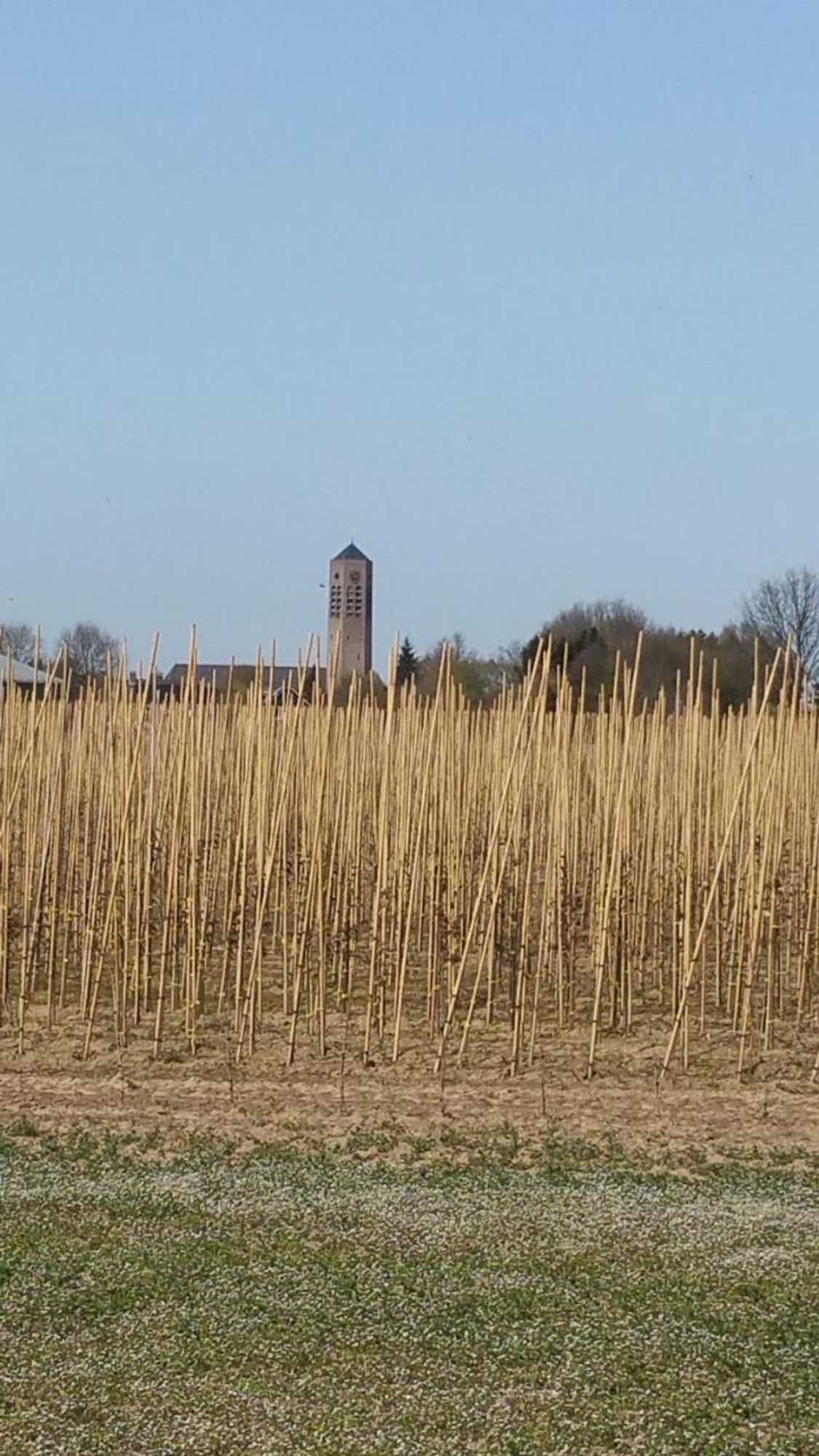 Gift card for B&b Perron 22