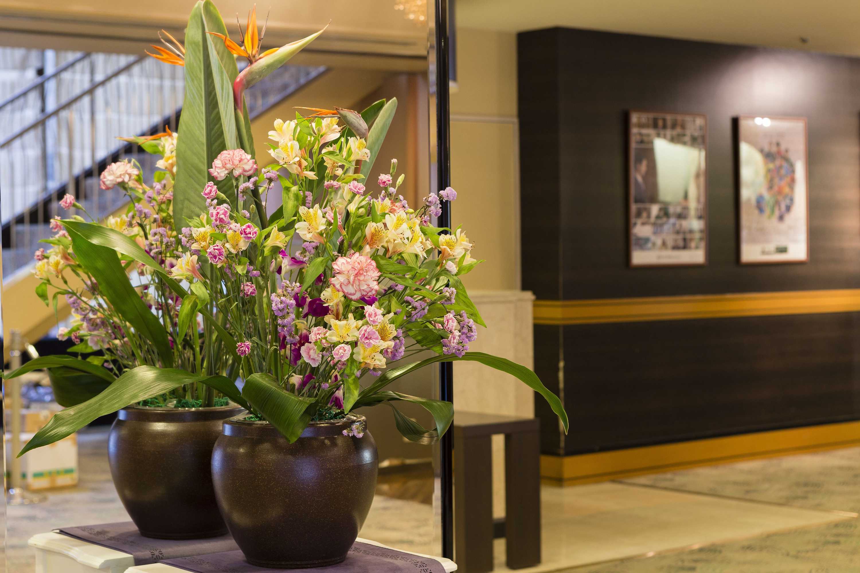 Gift card for Ark Hotel Osaka Shinsaibashi Gift card for Ark Hotel Osaka Shinsaibashi